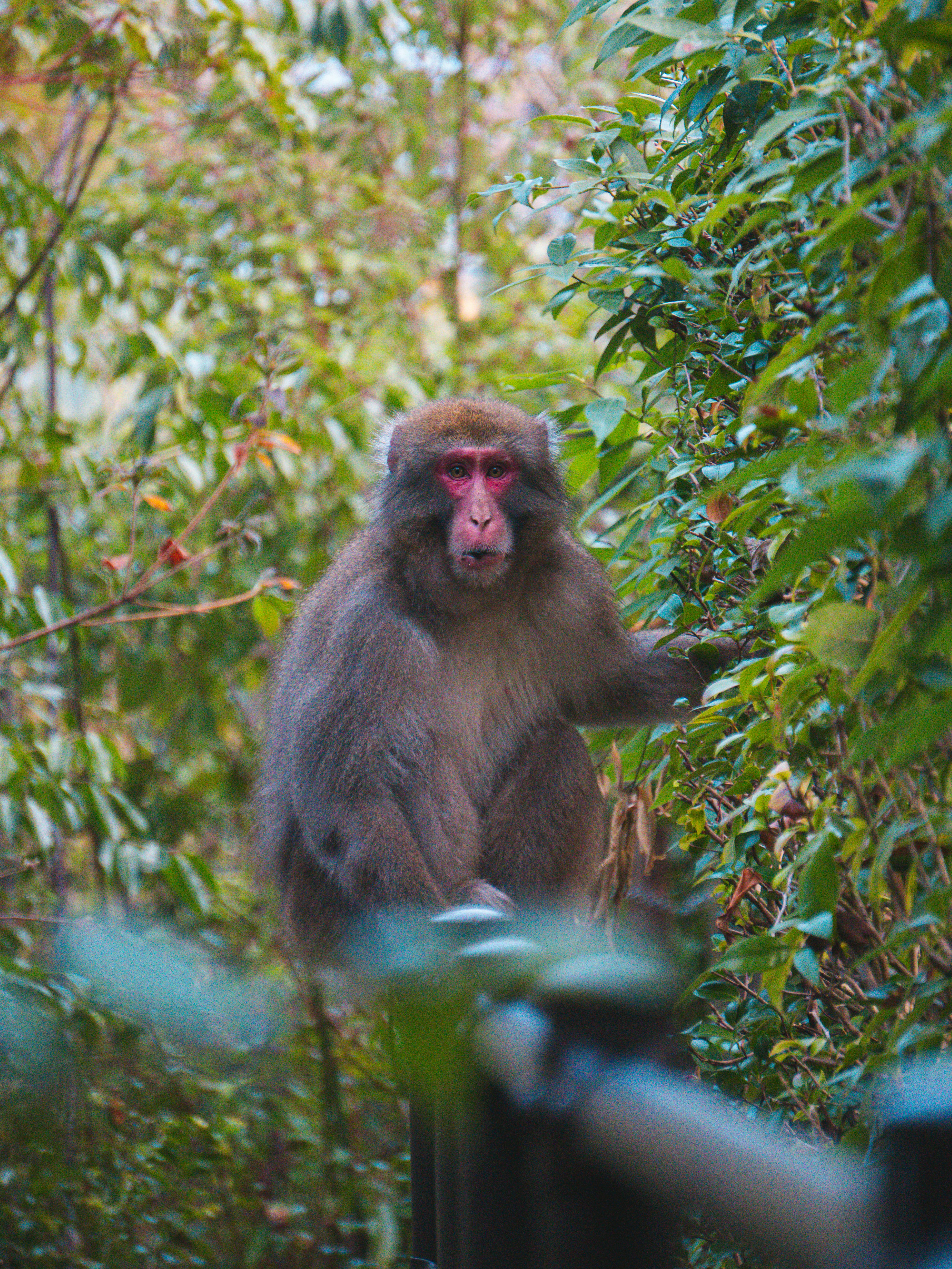 Photo by matheusmoura