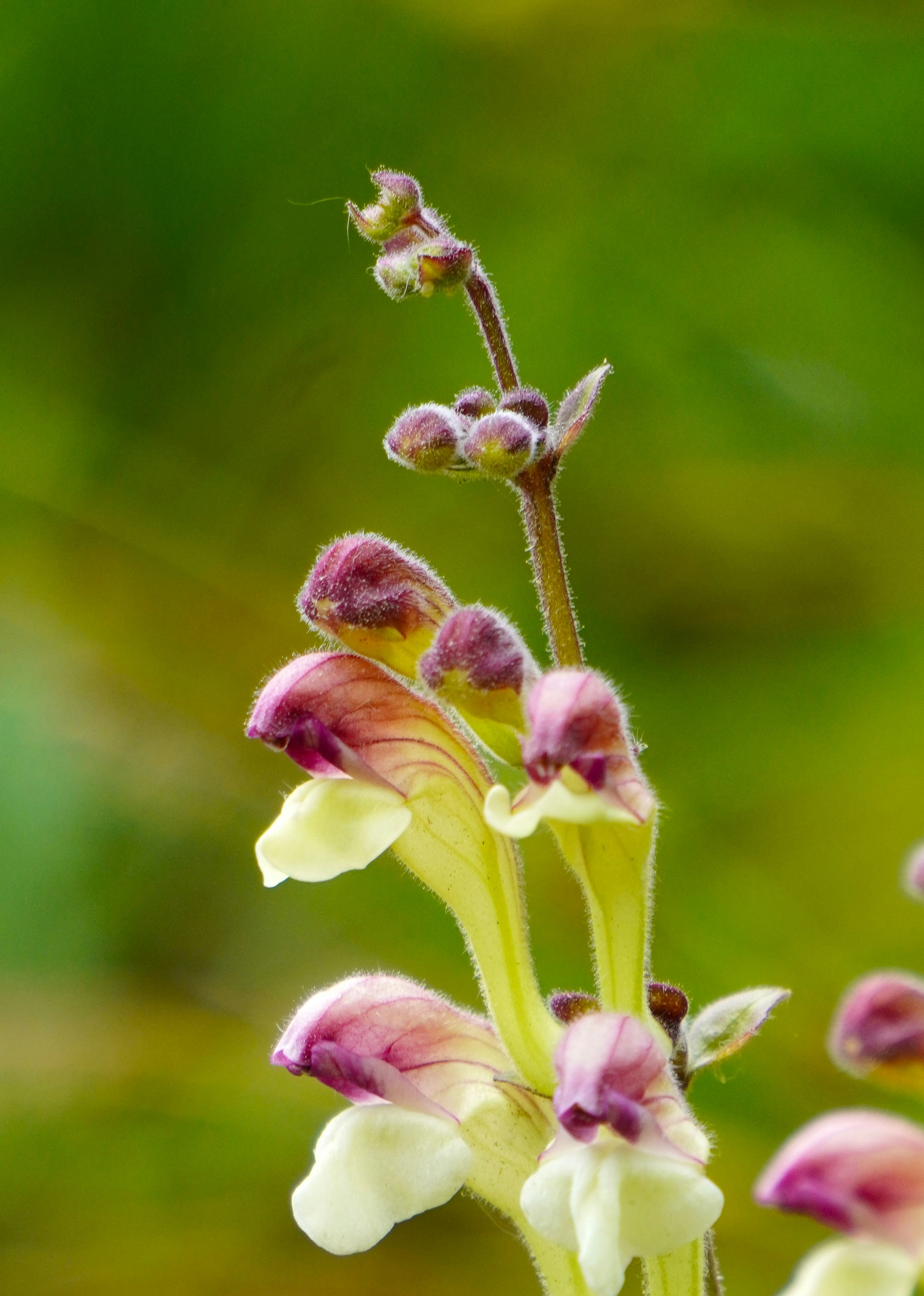 Photo by aditipanatu95