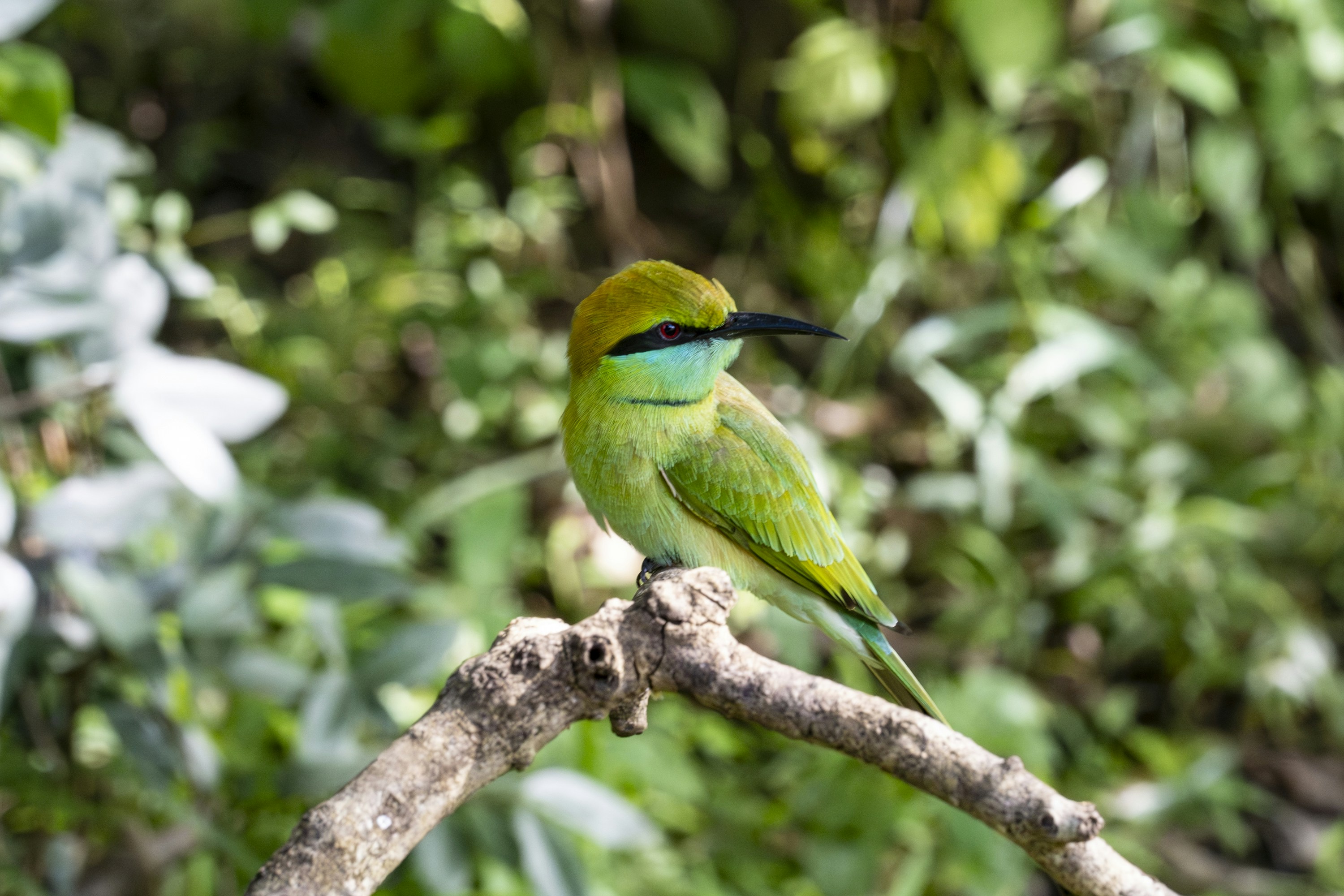 Photo by hanspetertraunig