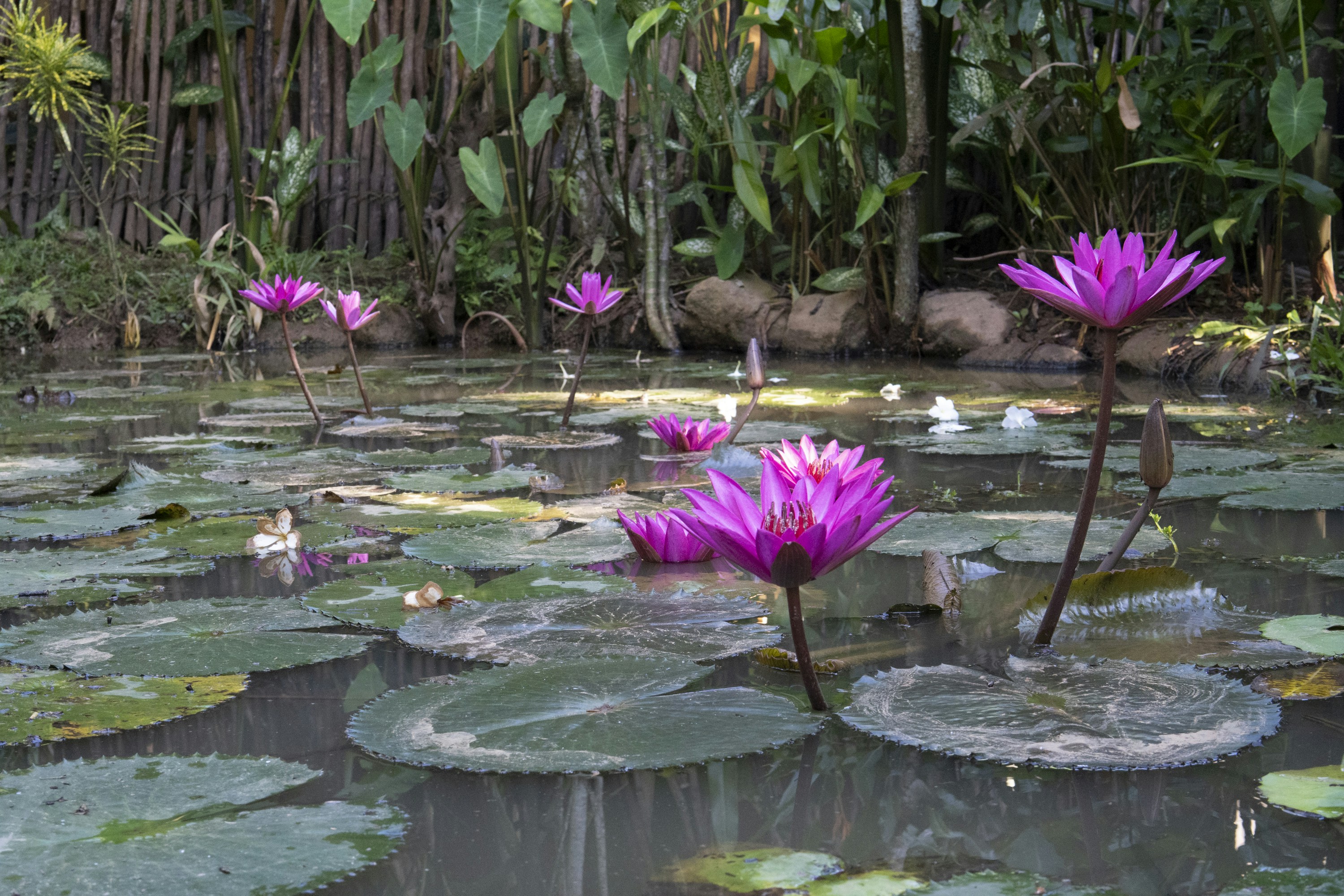 Photo by hanspetertraunig