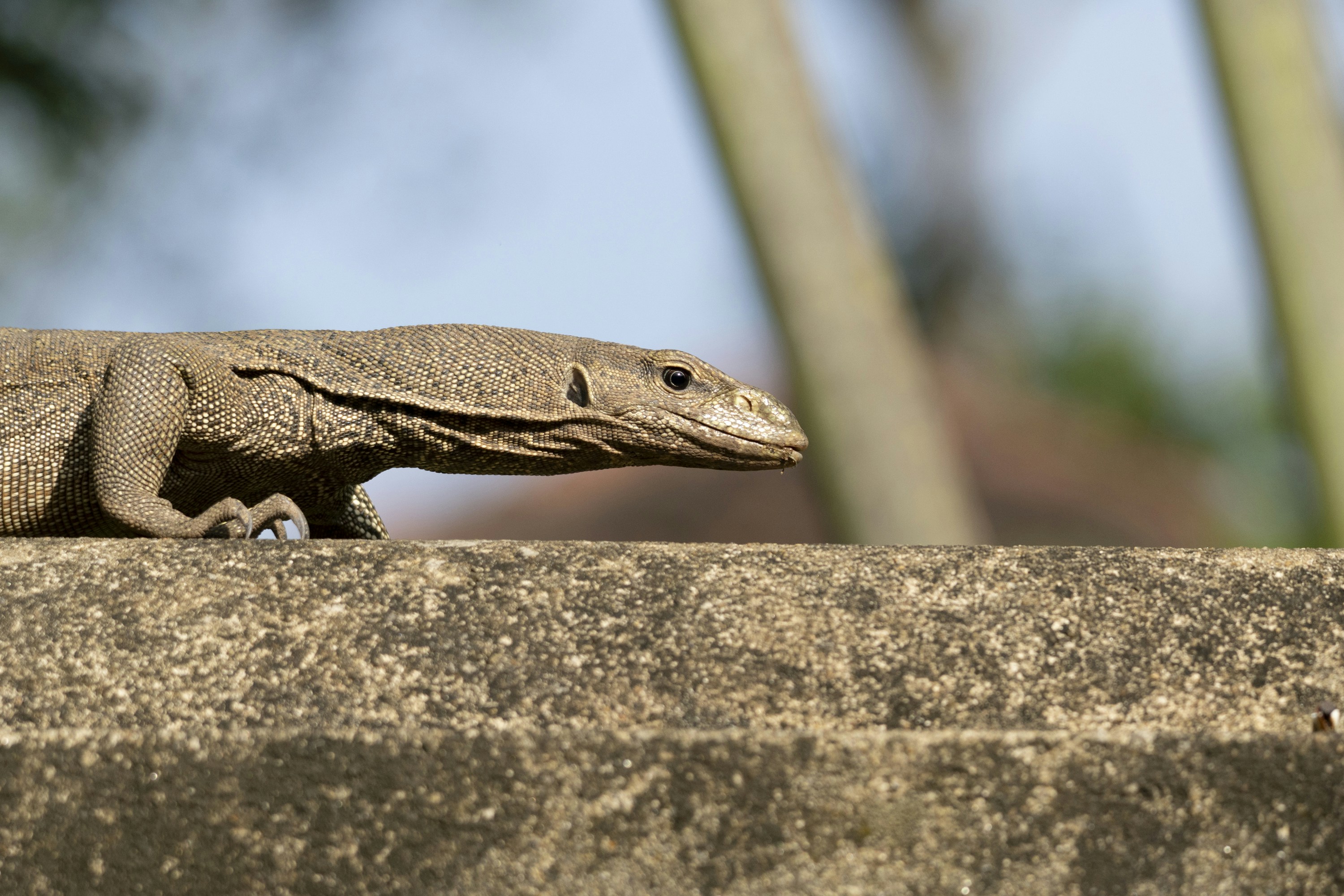 Photo by hanspetertraunig