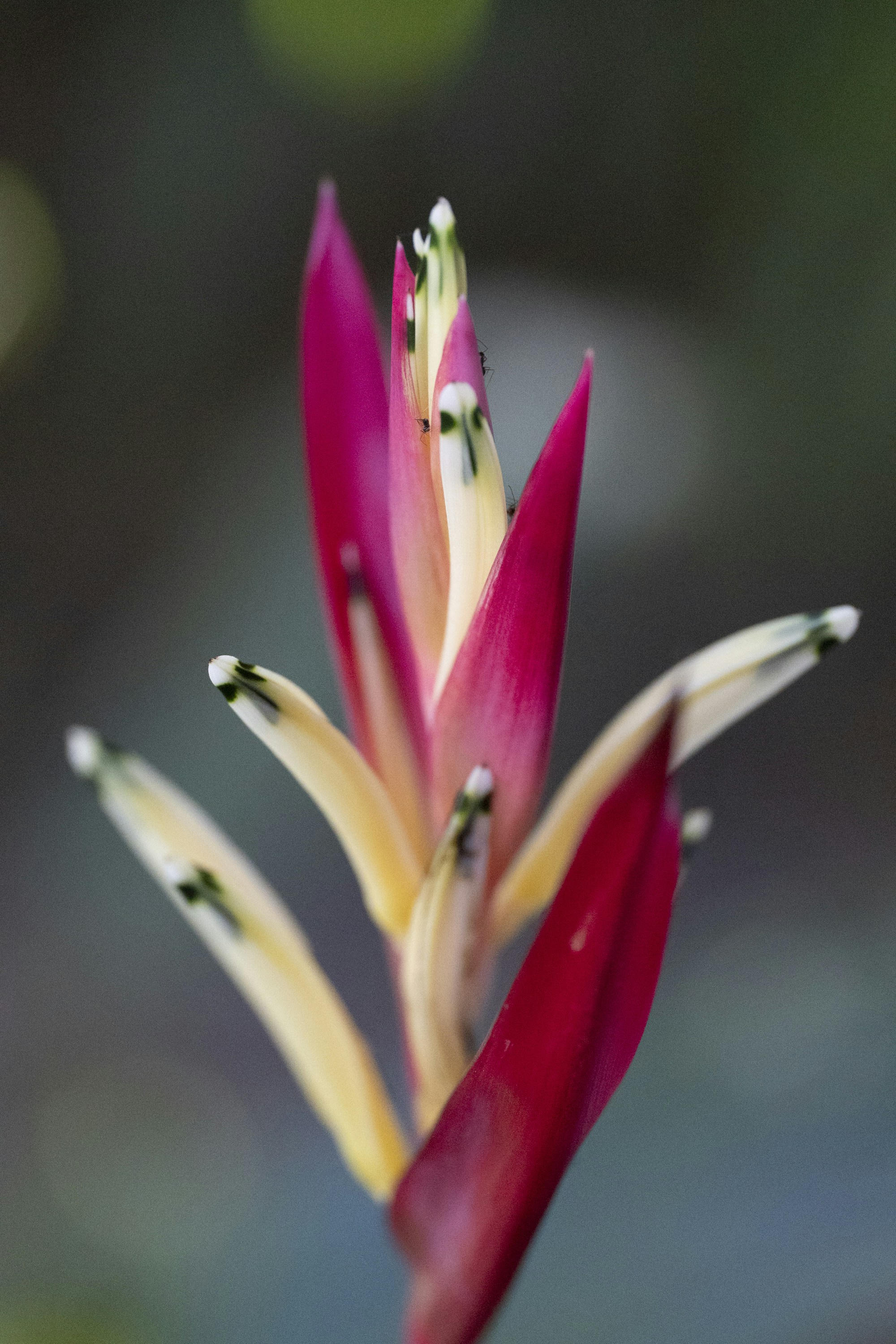 Photo by hanspetertraunig