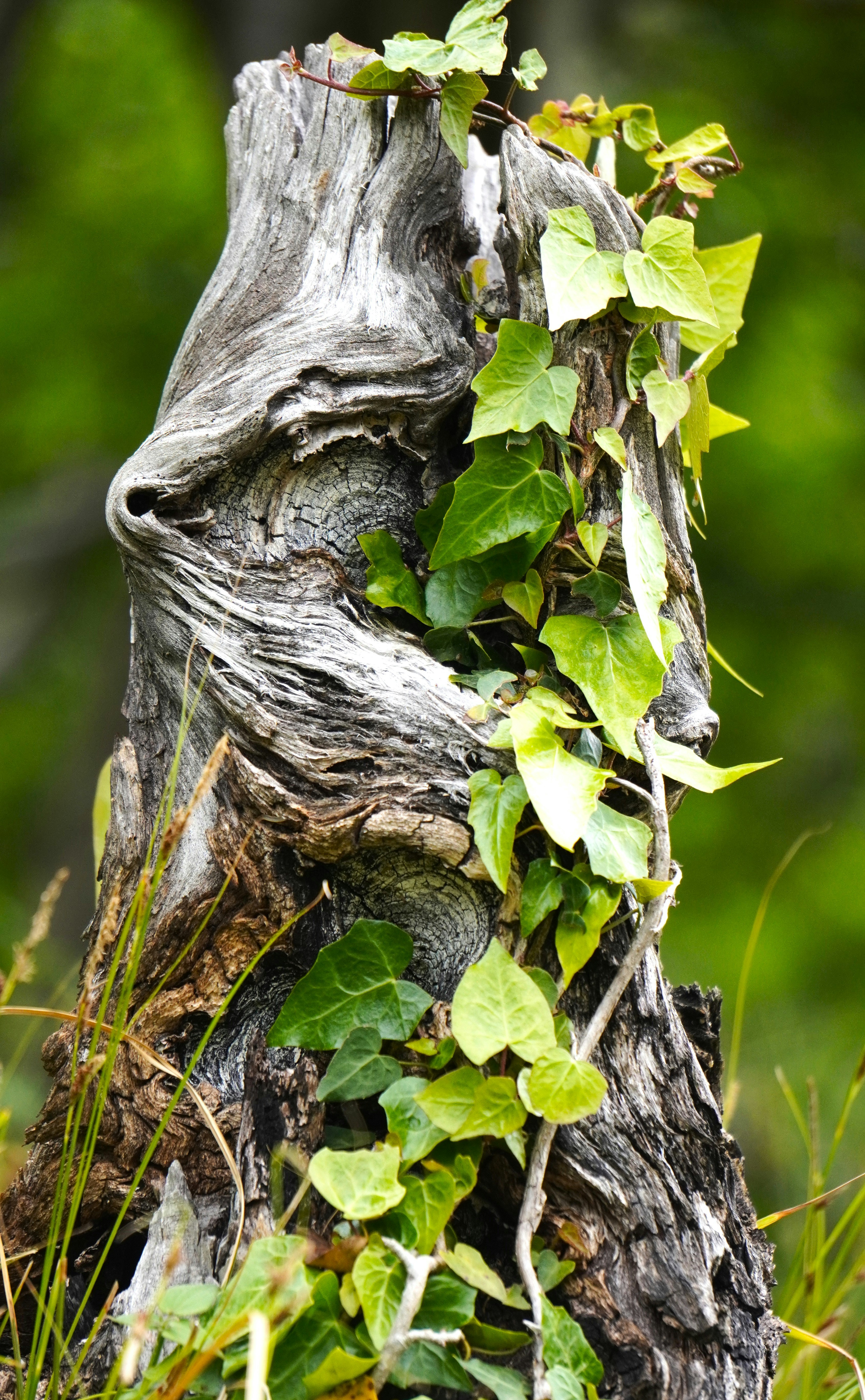 Photo by aditipanatu95