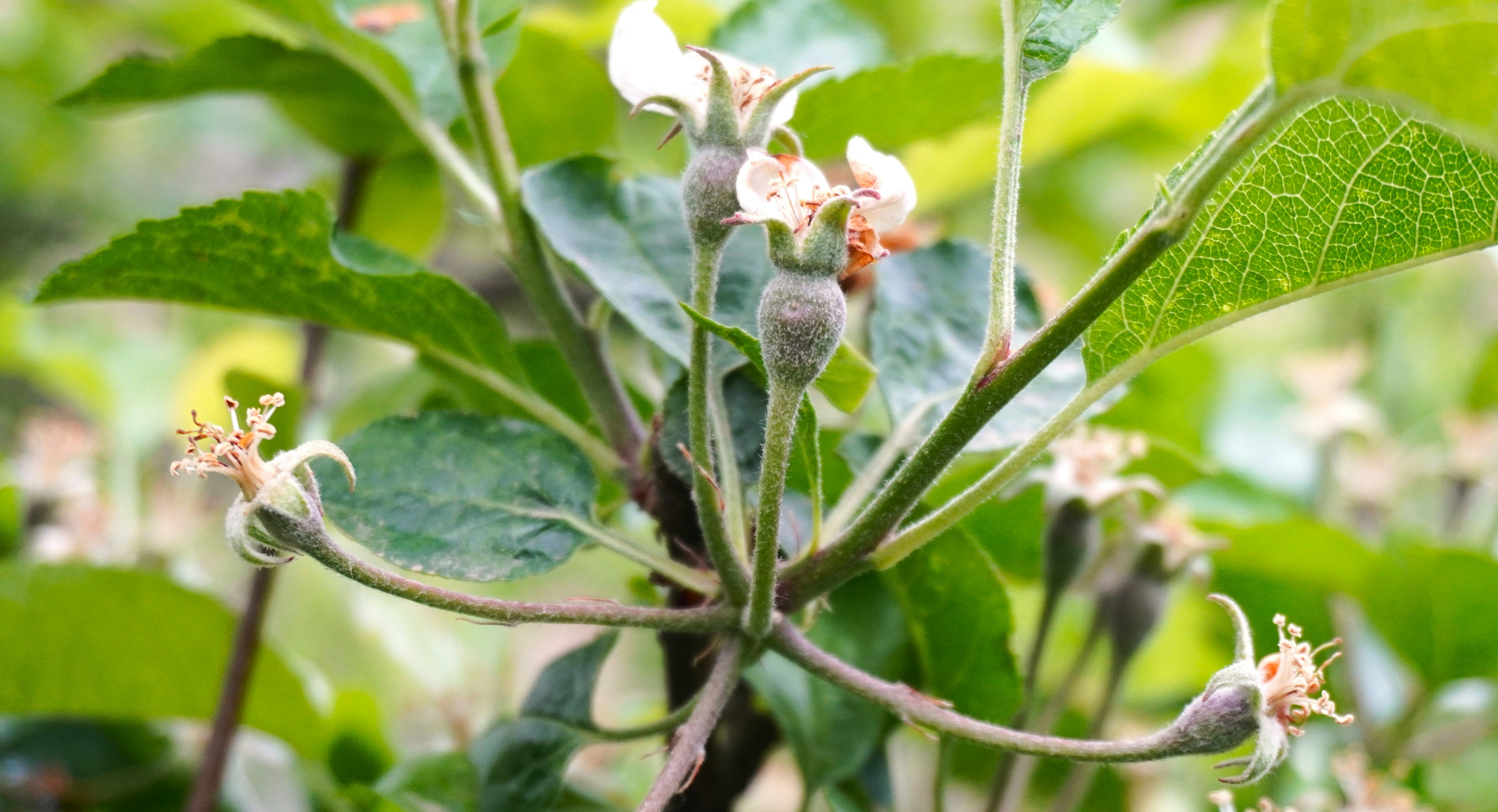 Photo by aditipanatu95