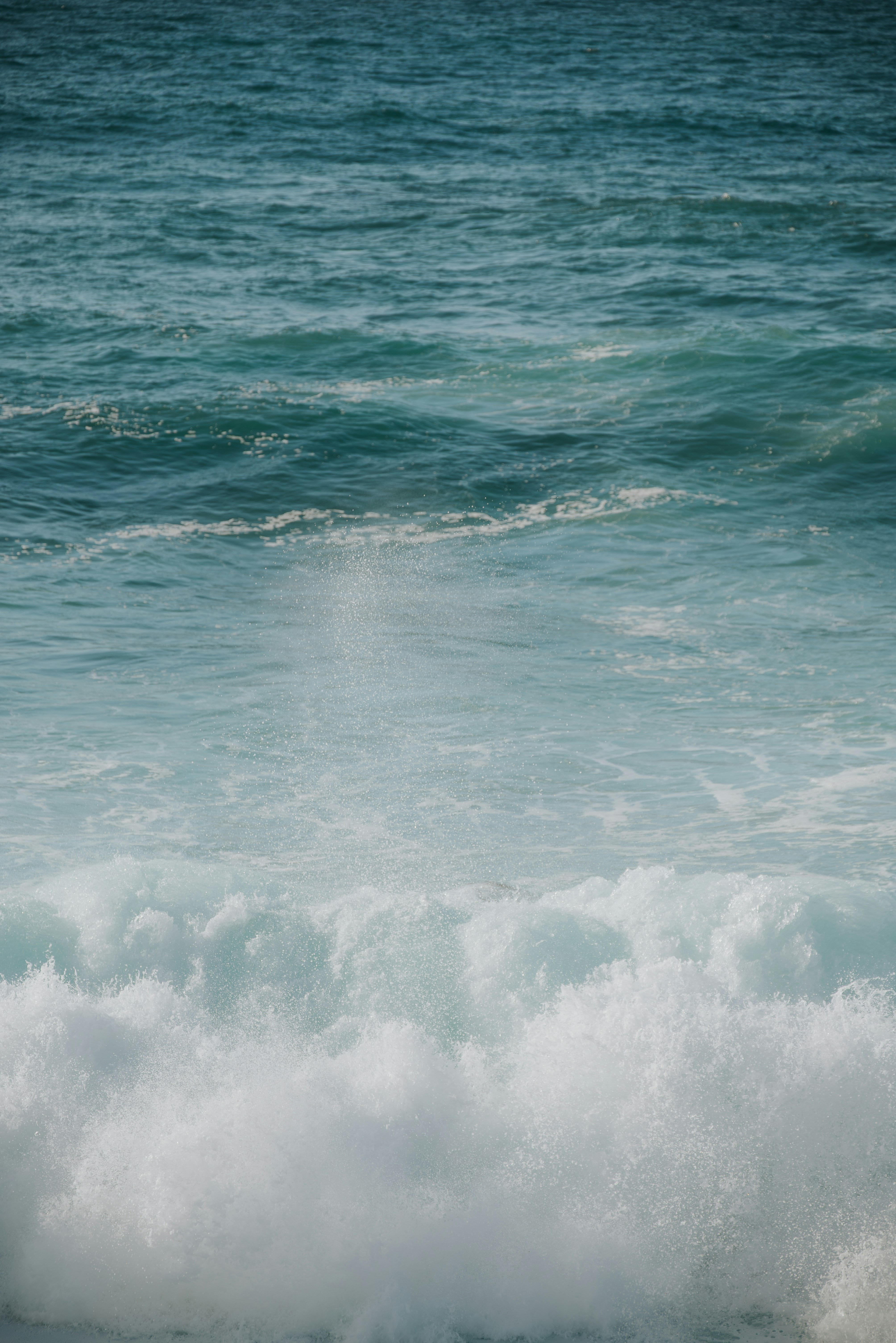 Photo by agataciosek