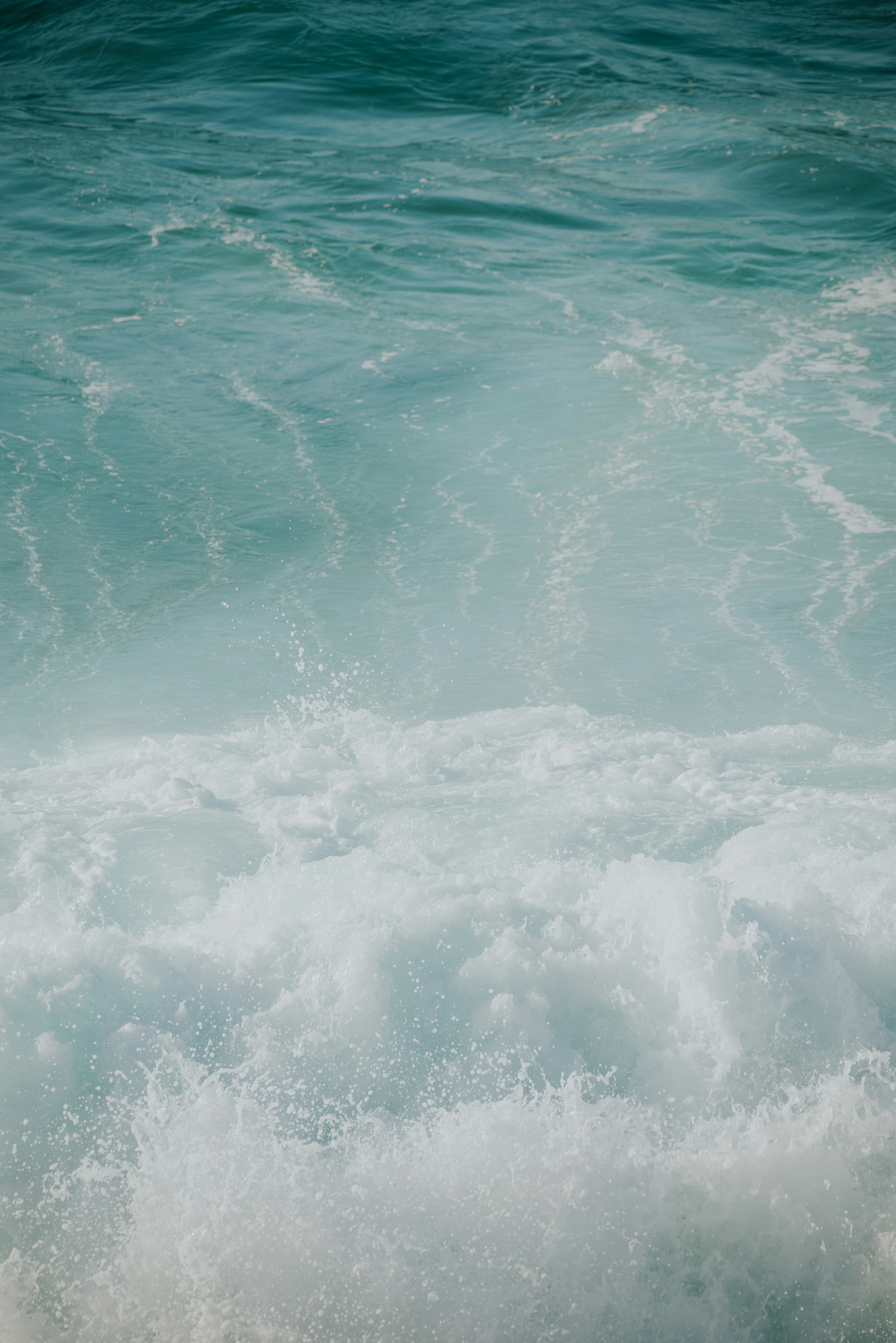 Photo by agataciosek