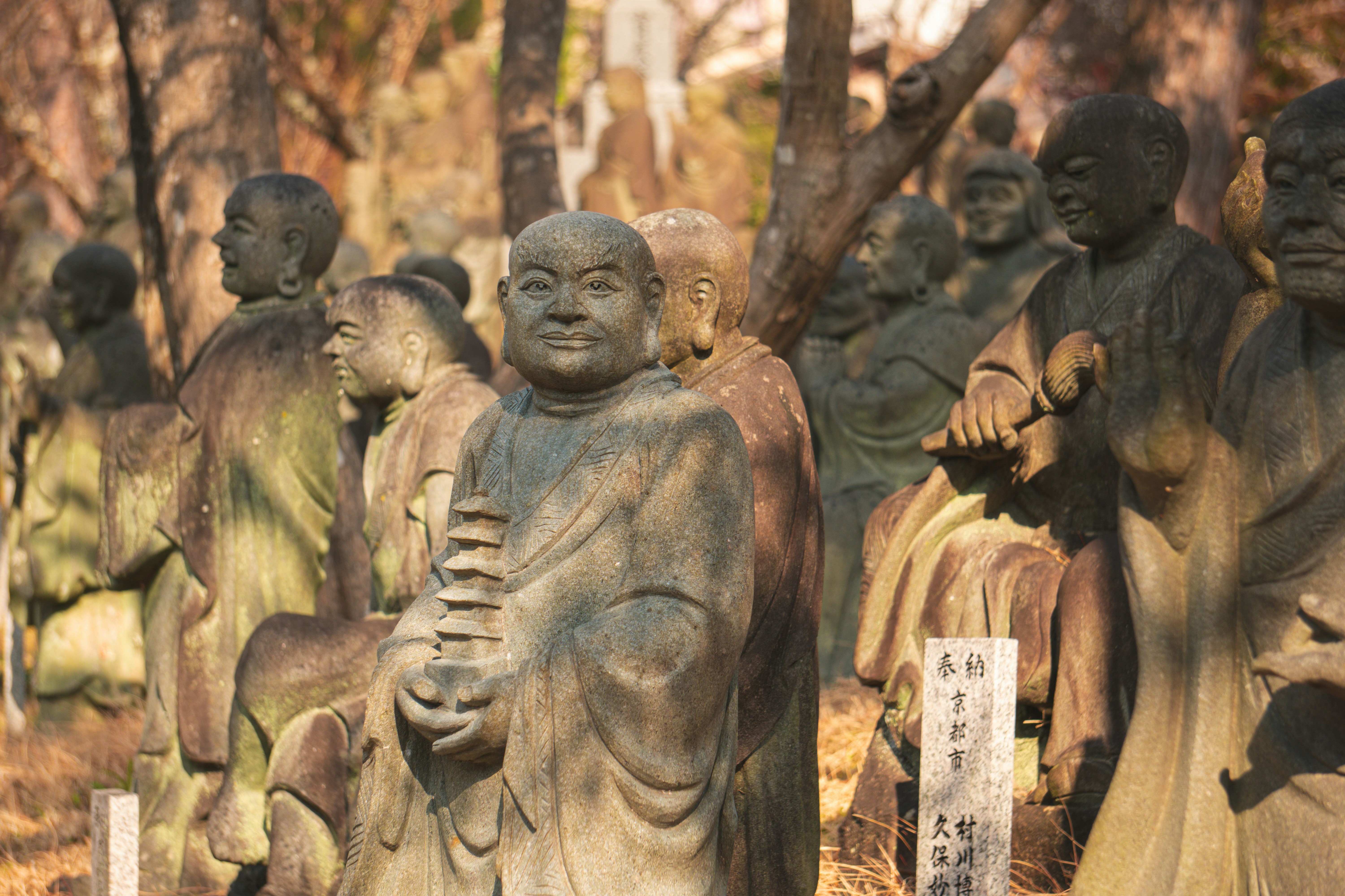 Photo by matheusmoura