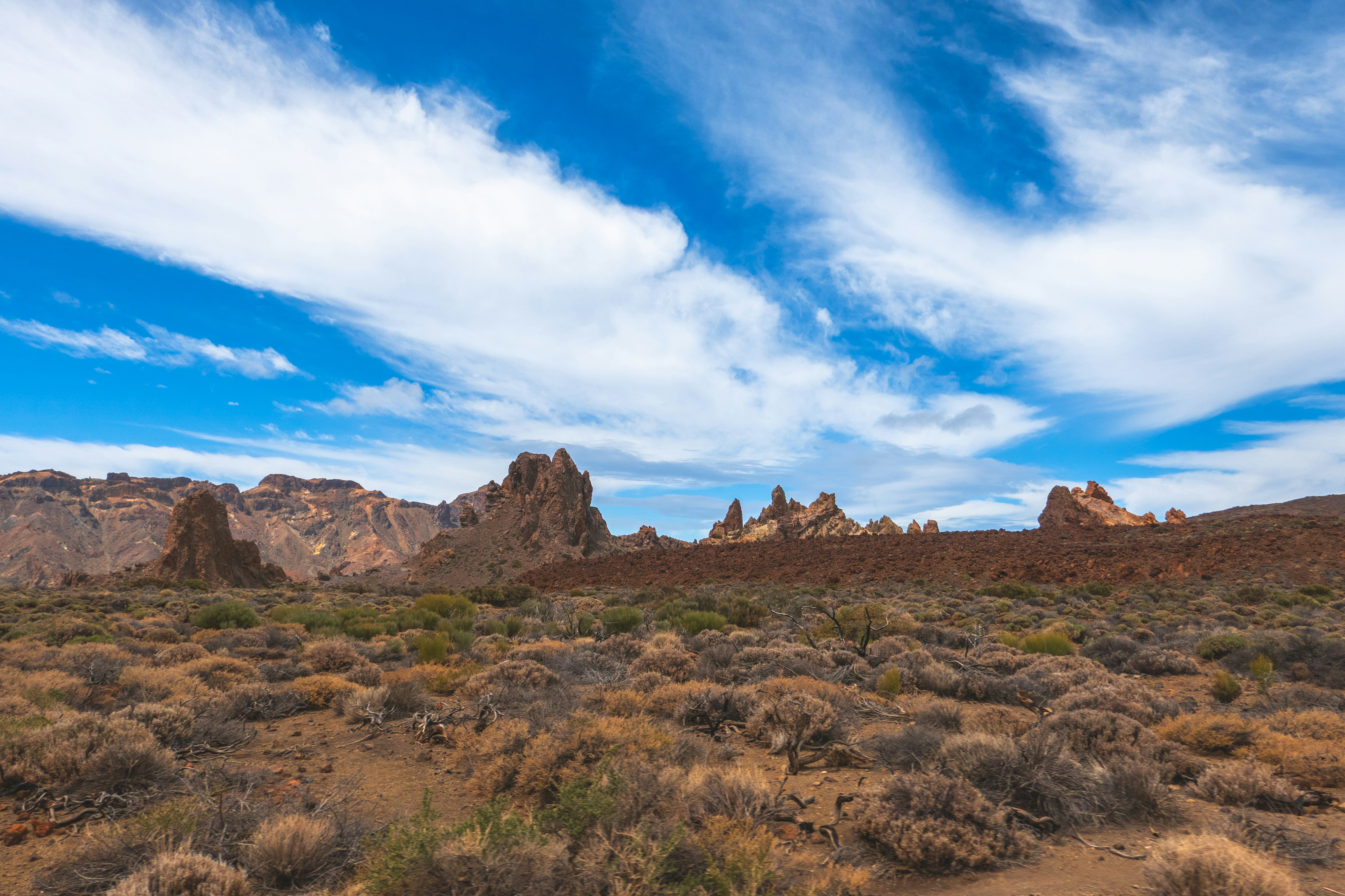 Photo by bscarlataphoto