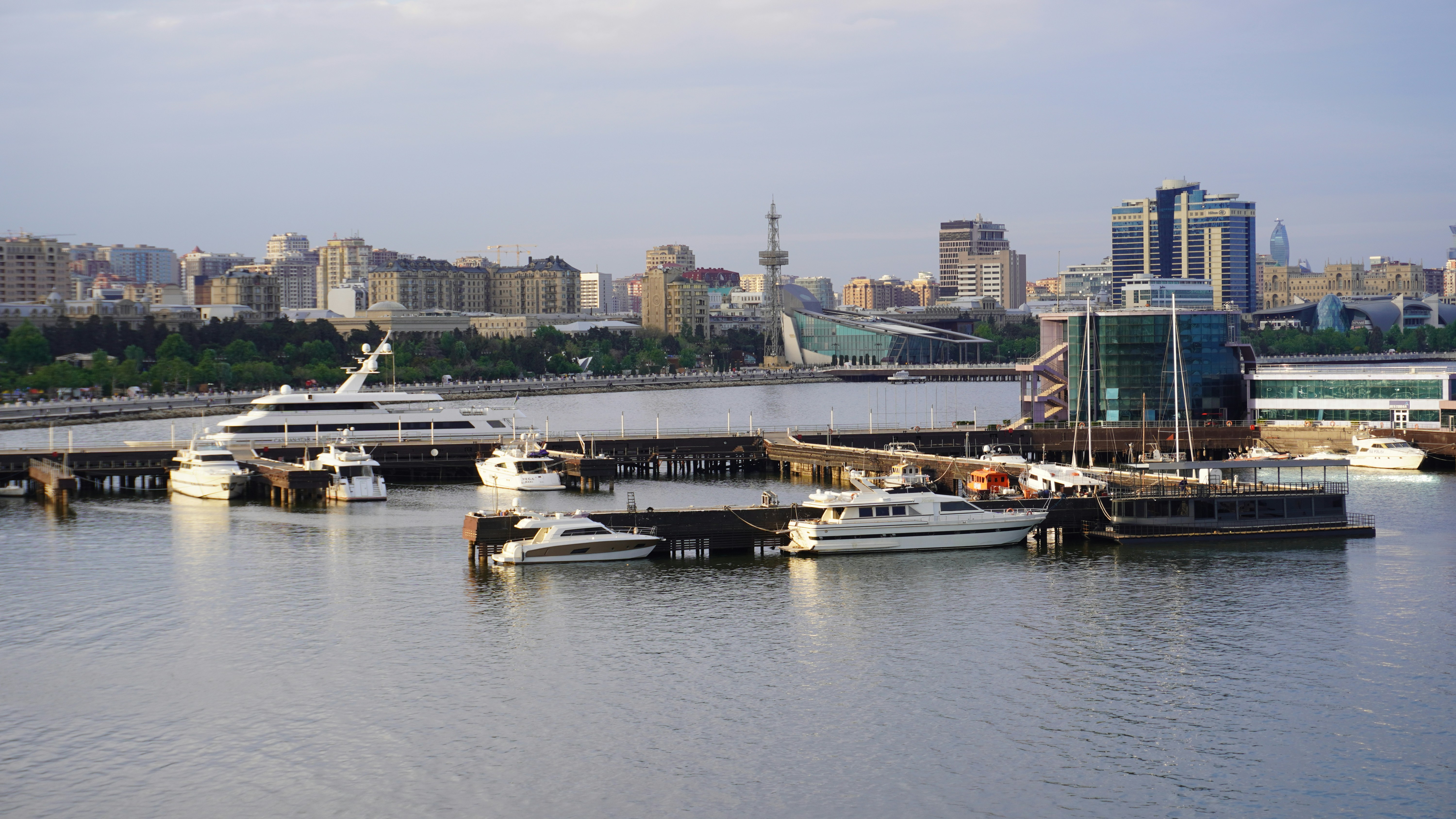 Yachts docked at a harbor with a city skyline.