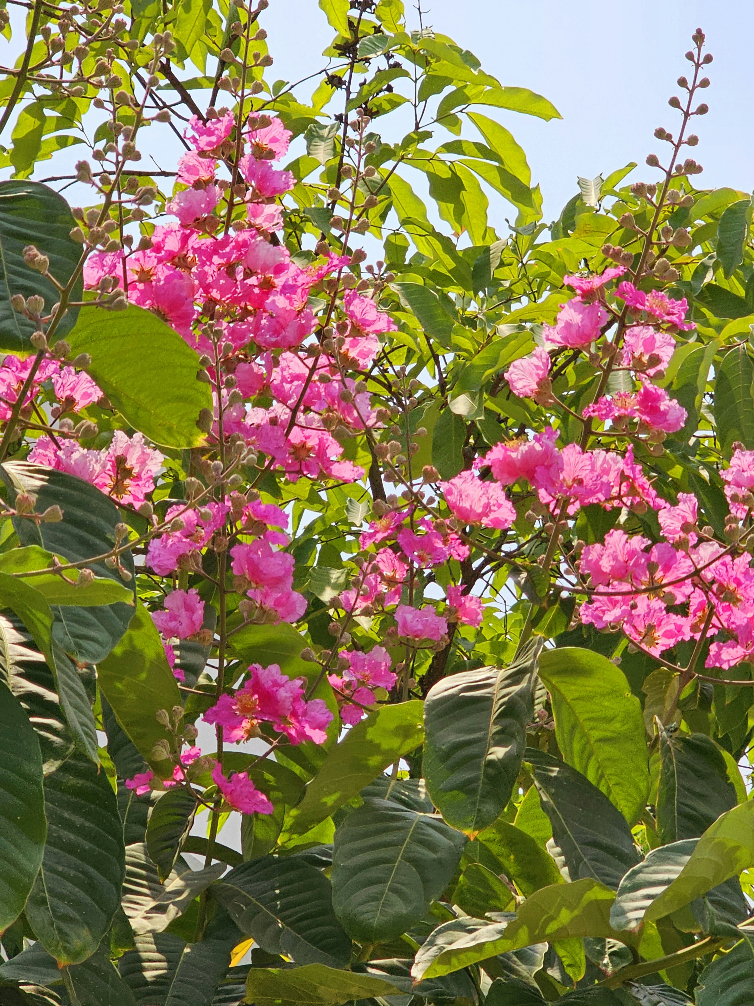 Photo by dhriti_das007