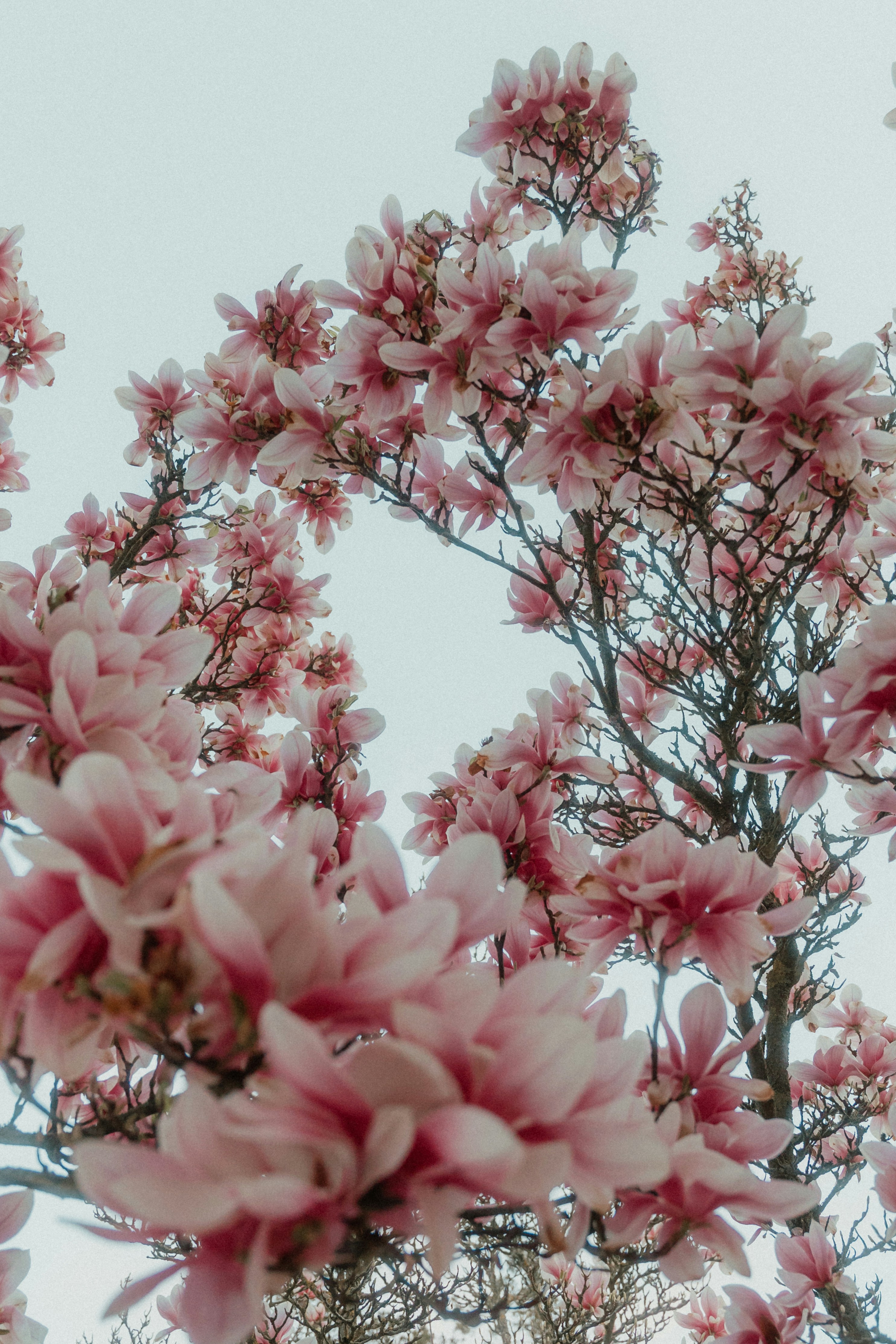 Photo by luiseandnic