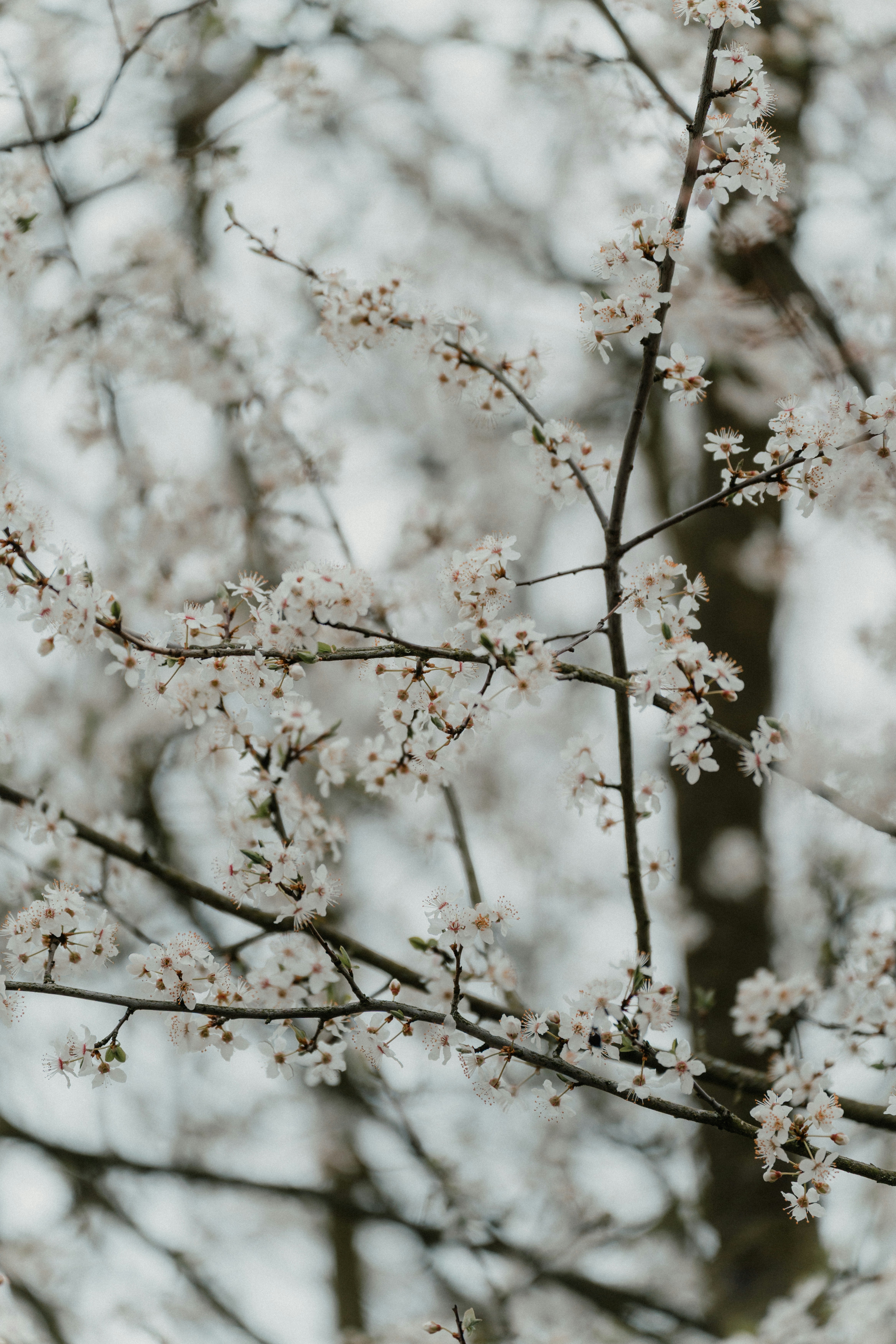 Photo by luiseandnic