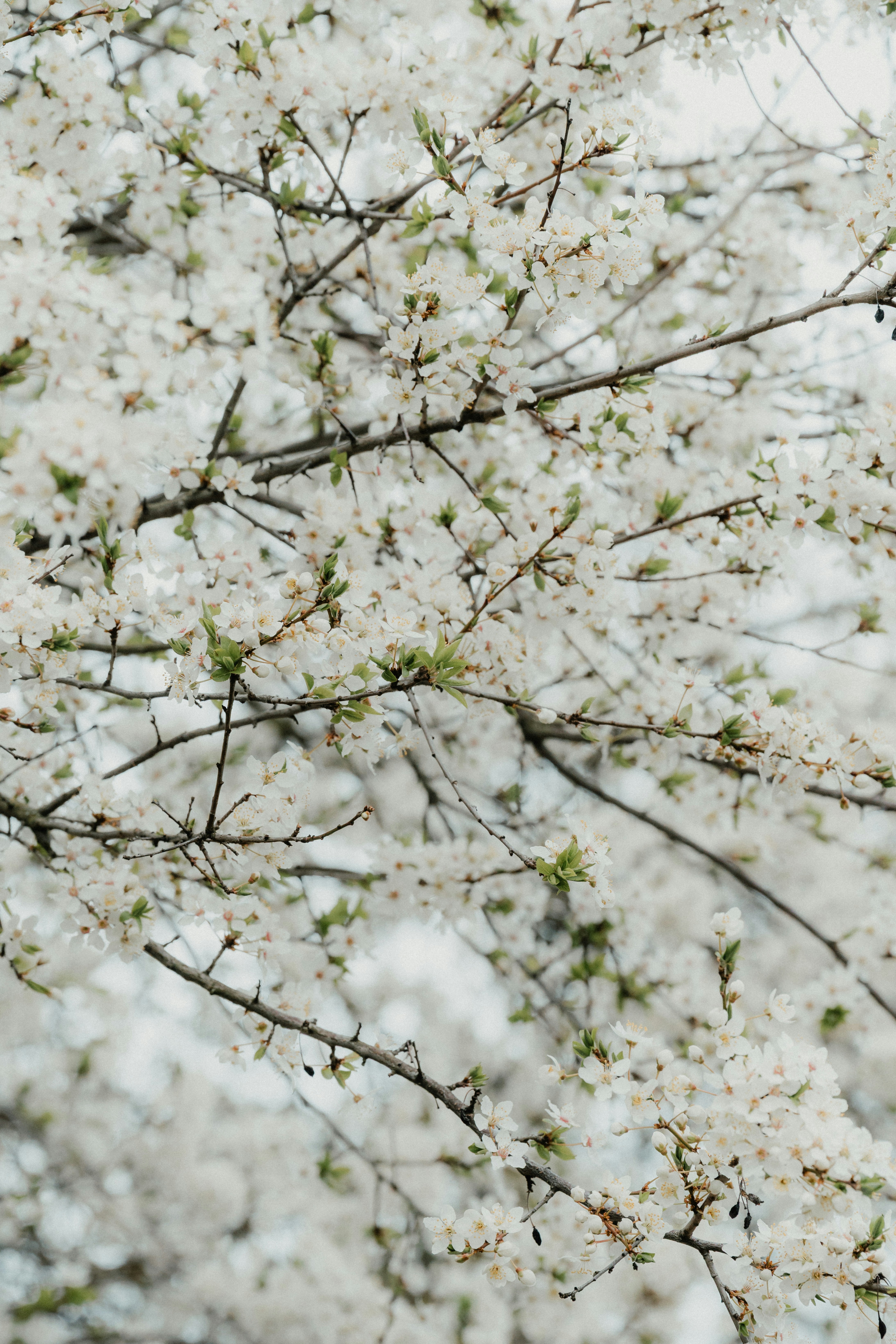 Photo by luiseandnic