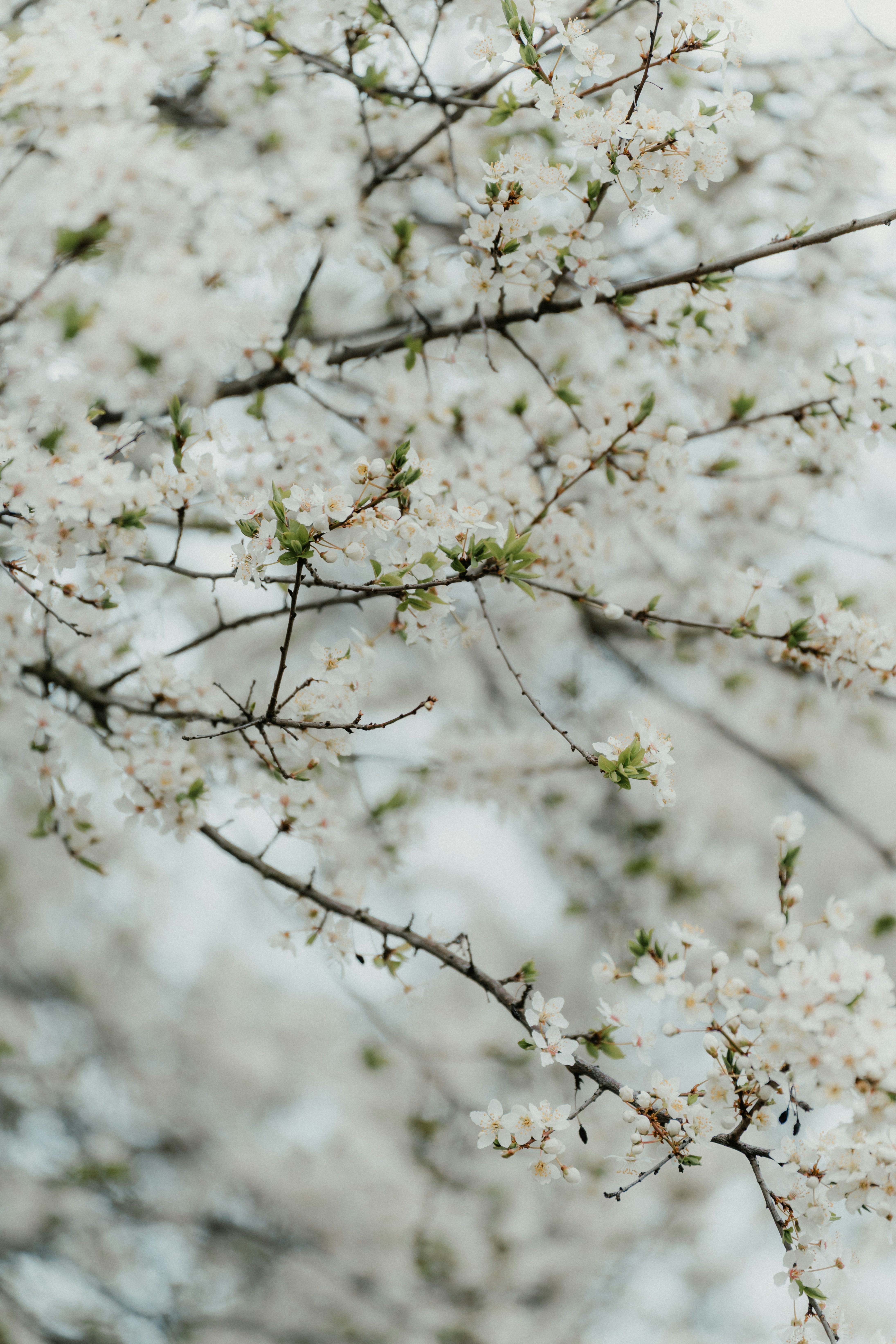 Photo by luiseandnic