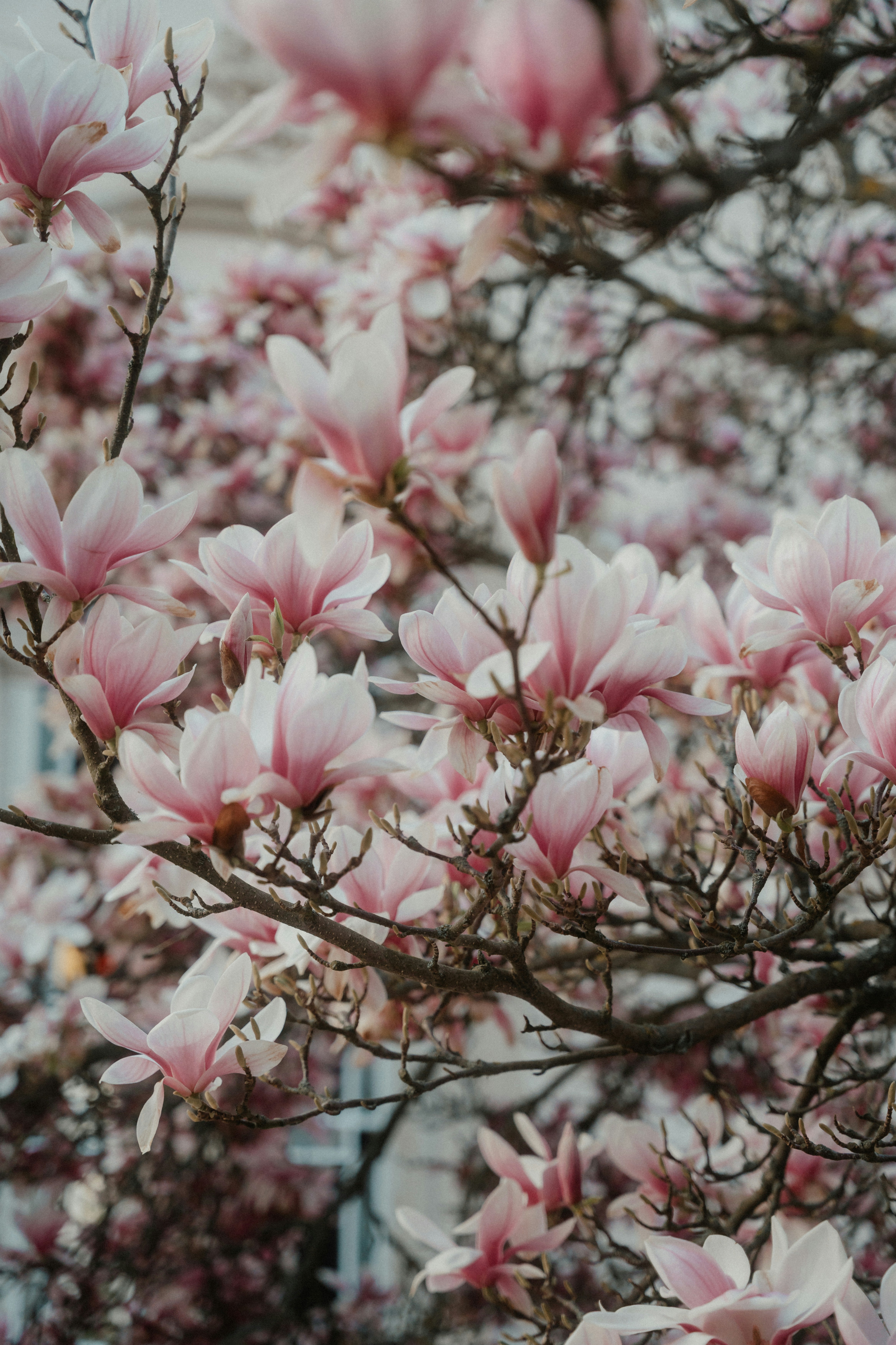 Photo by luiseandnic