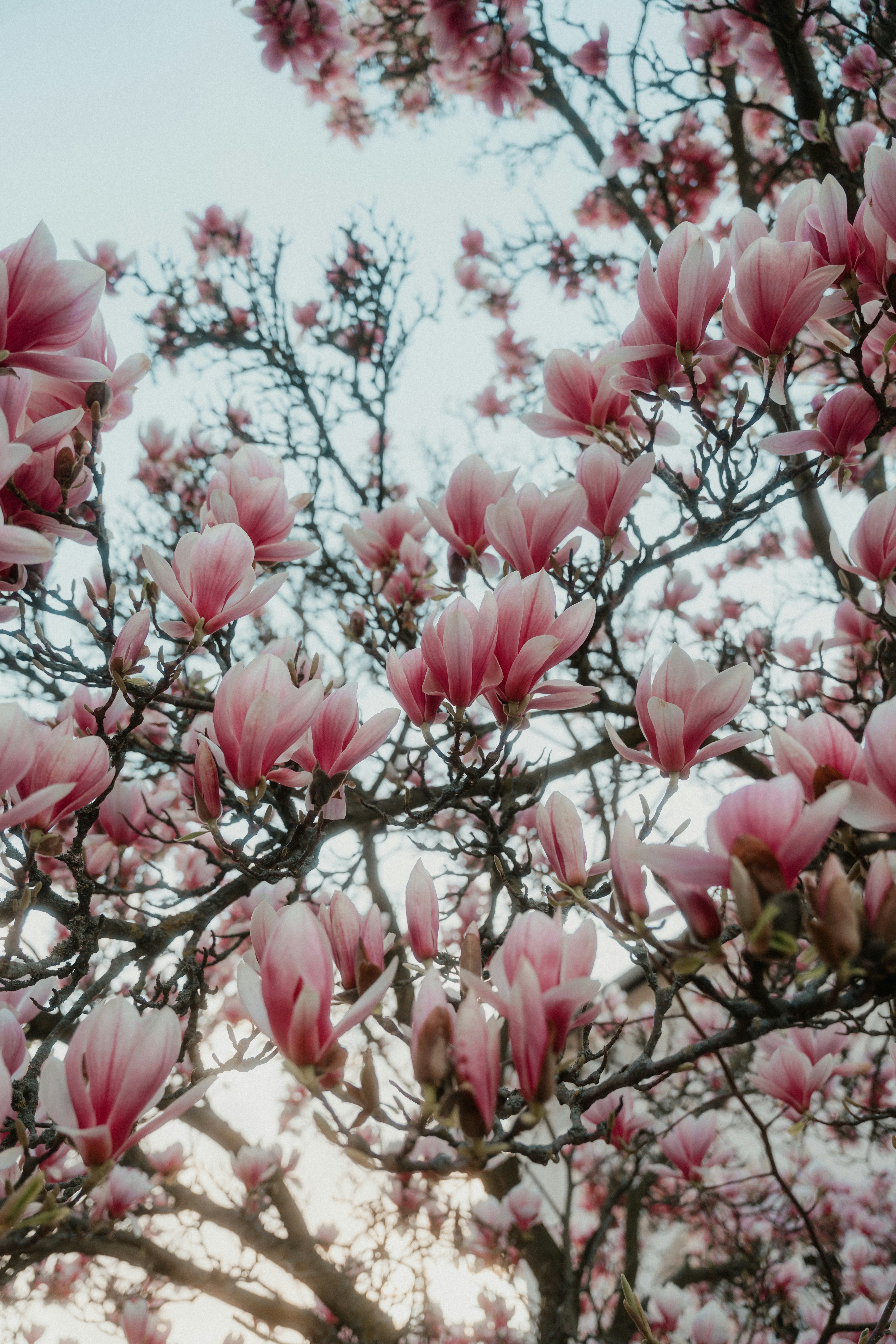 Photo by luiseandnic