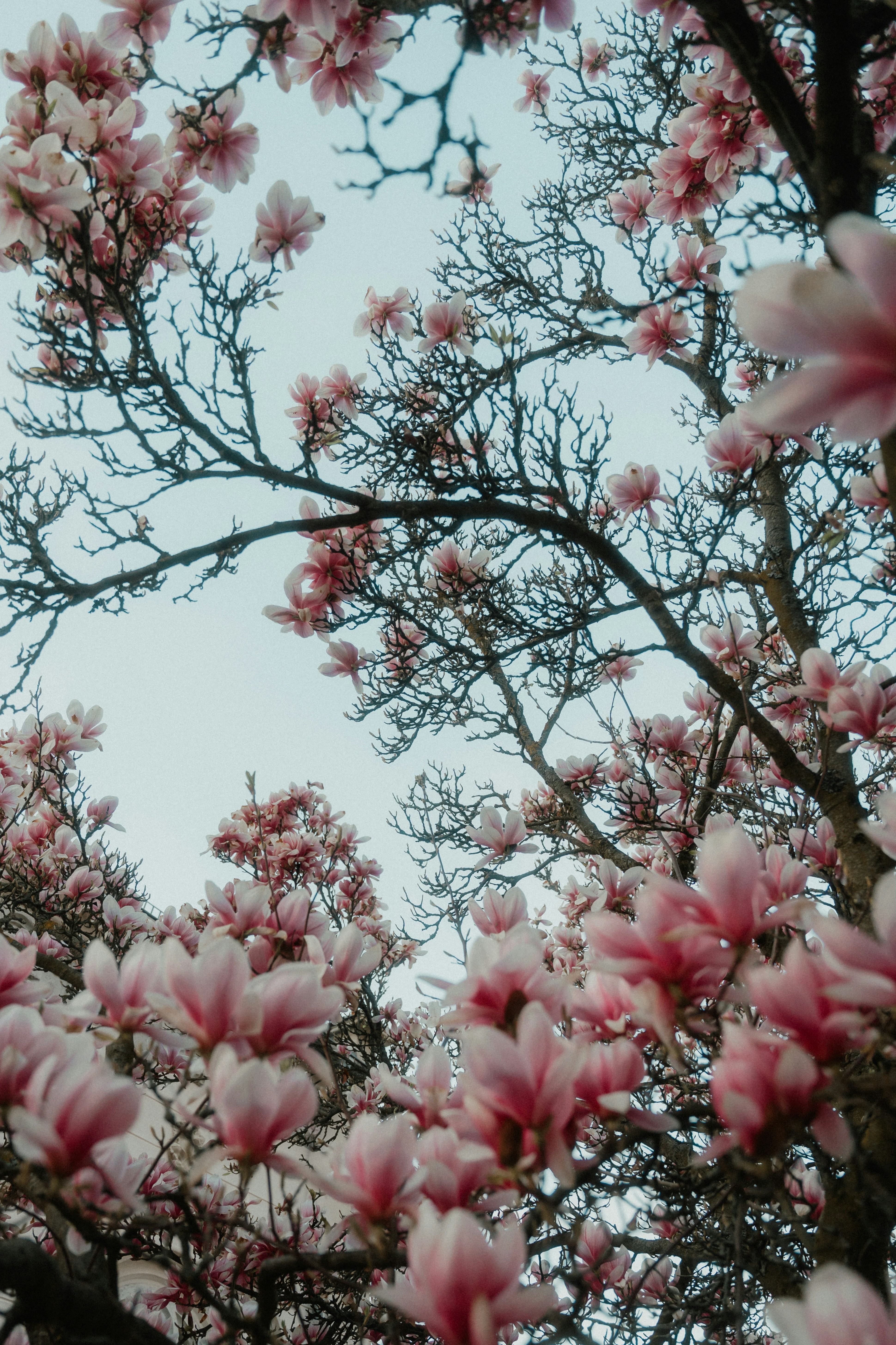 Photo by luiseandnic