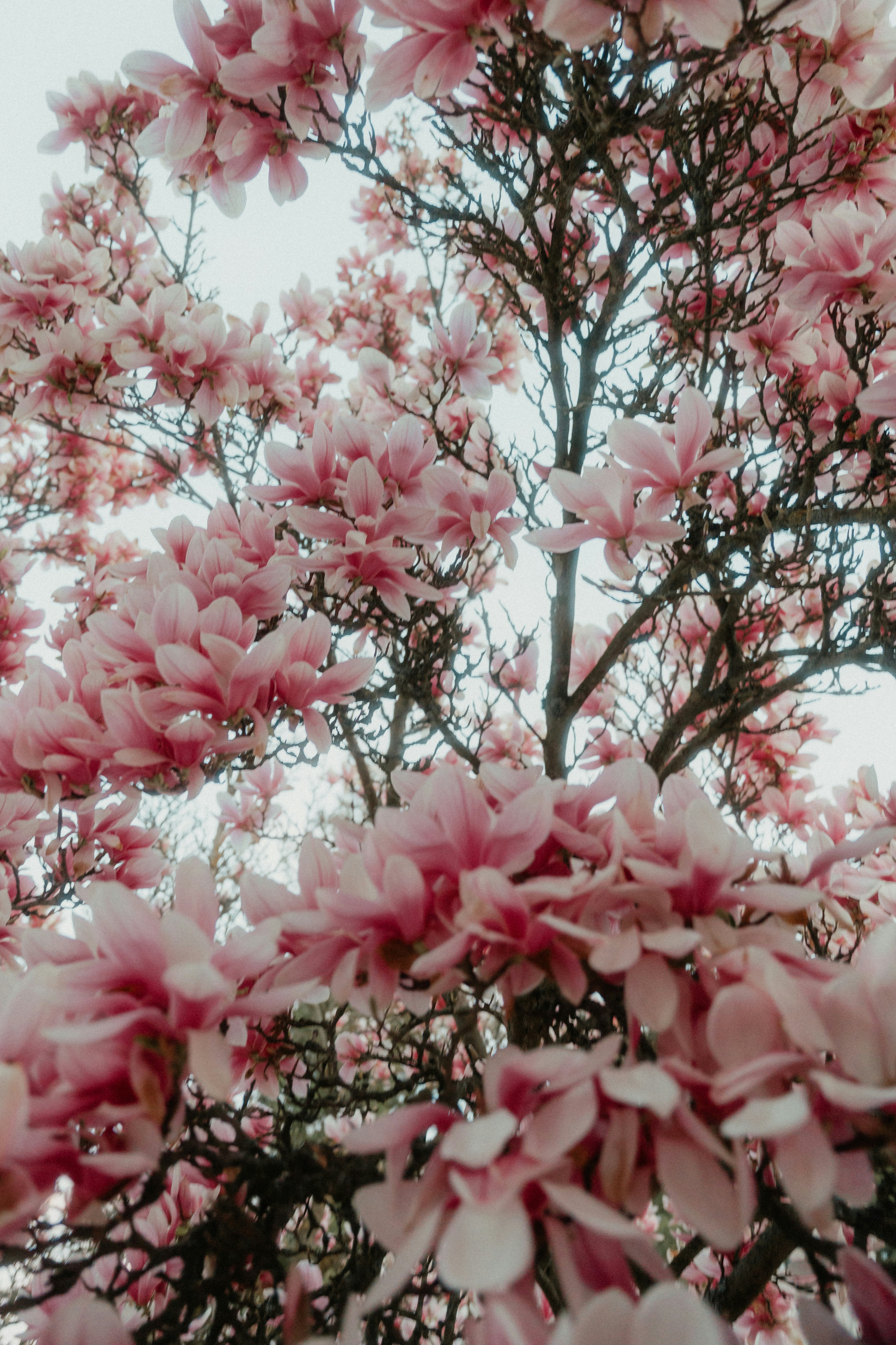 Photo by luiseandnic