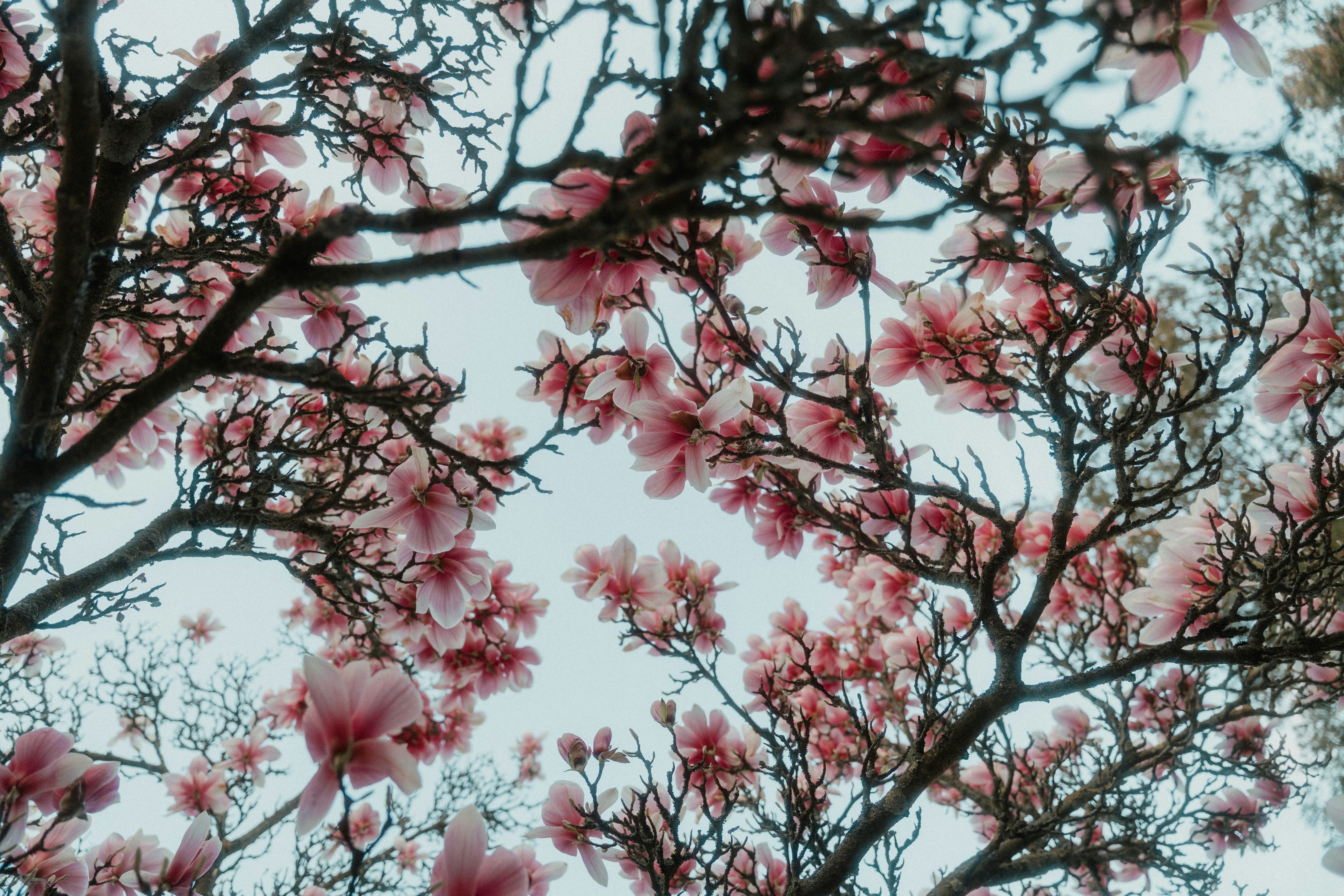 Photo by luiseandnic