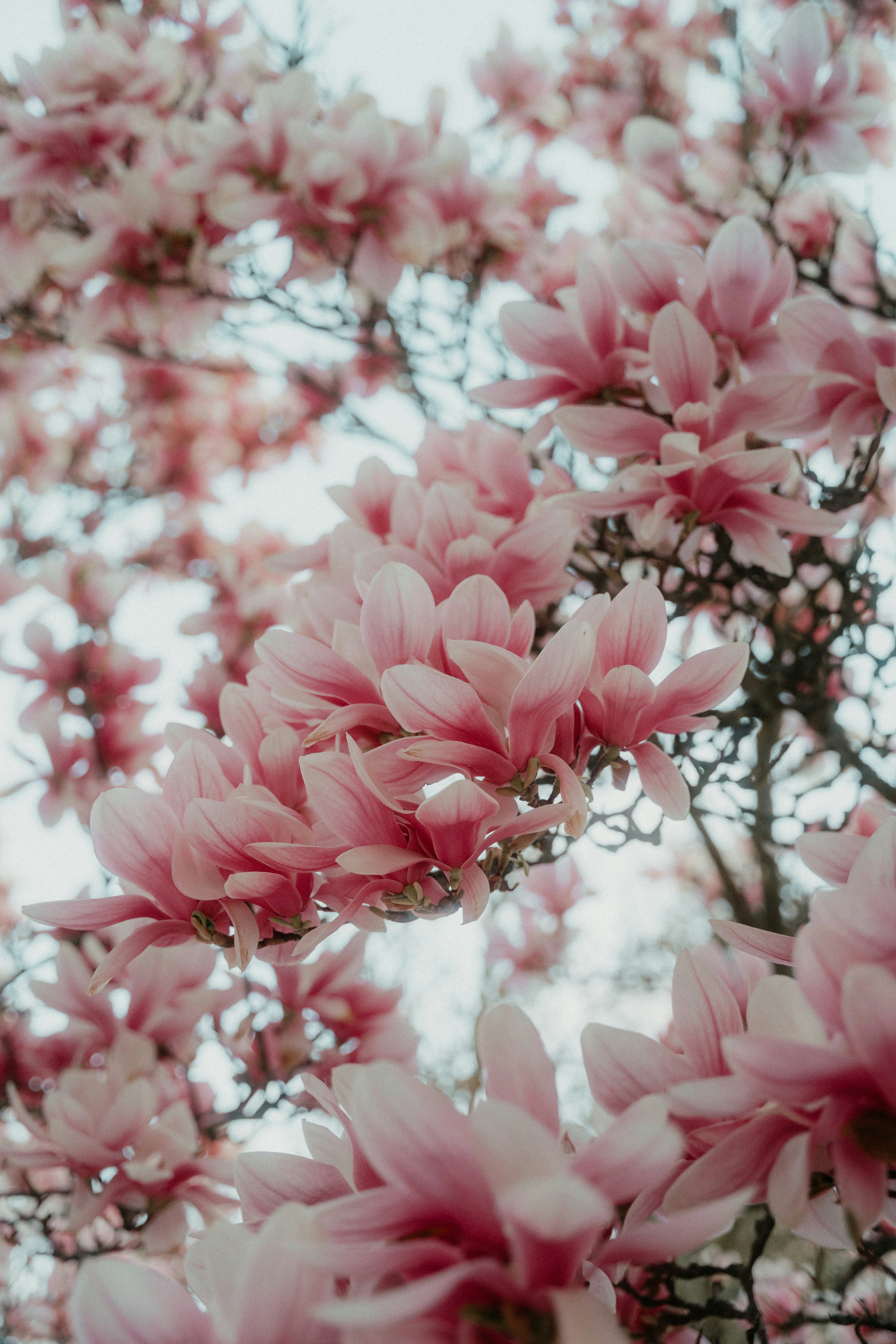 Photo by luiseandnic