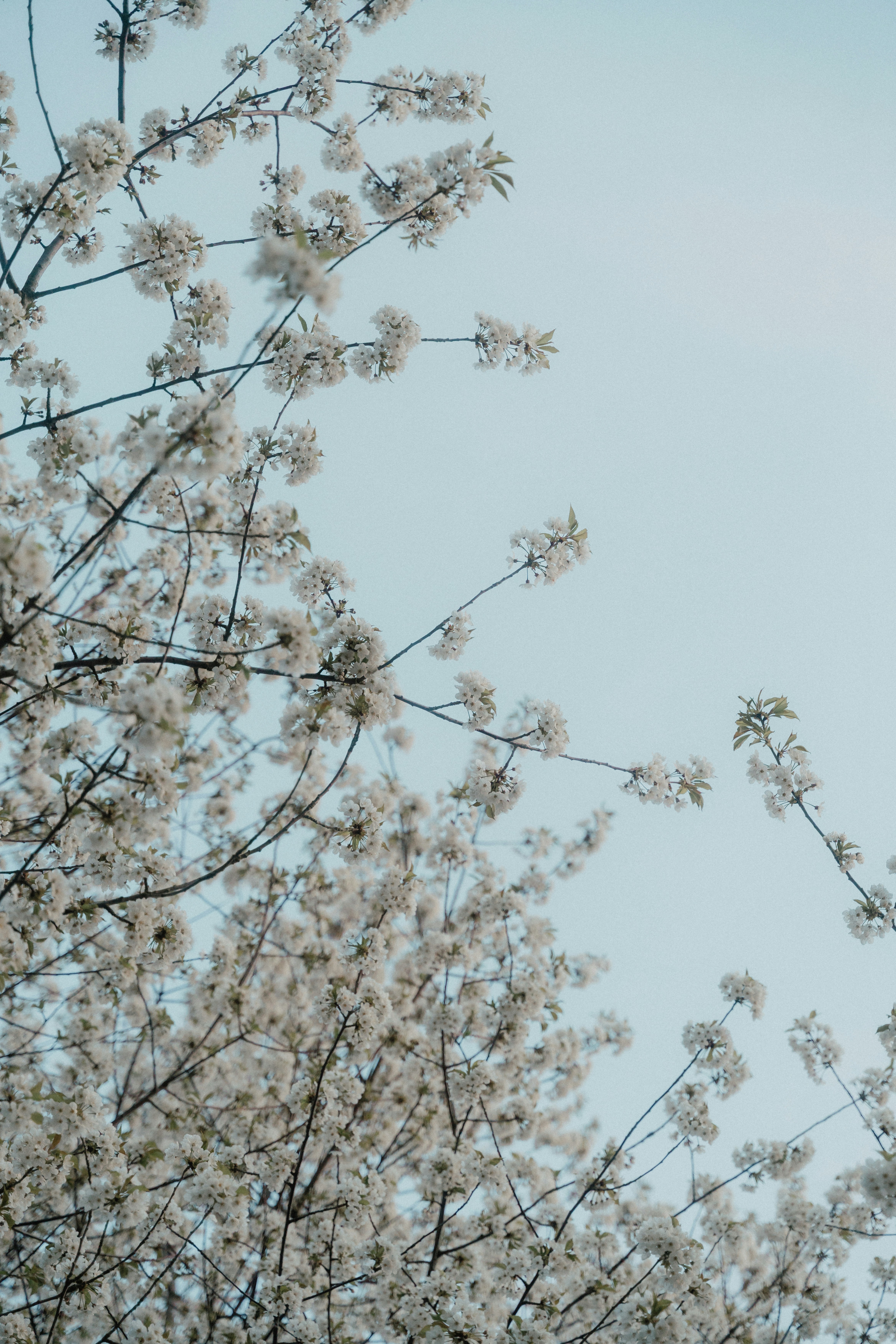 Photo by luiseandnic