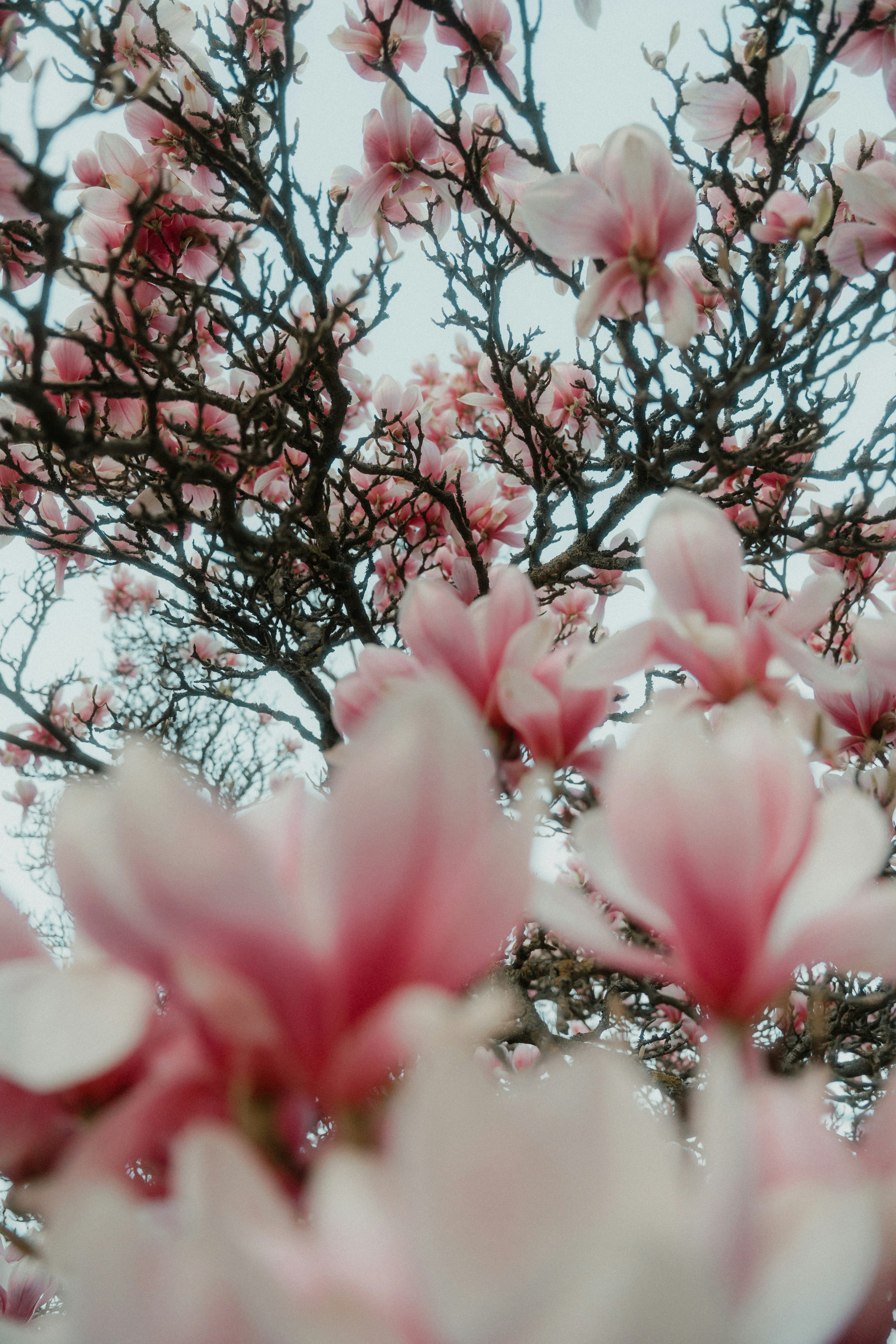 Photo by luiseandnic