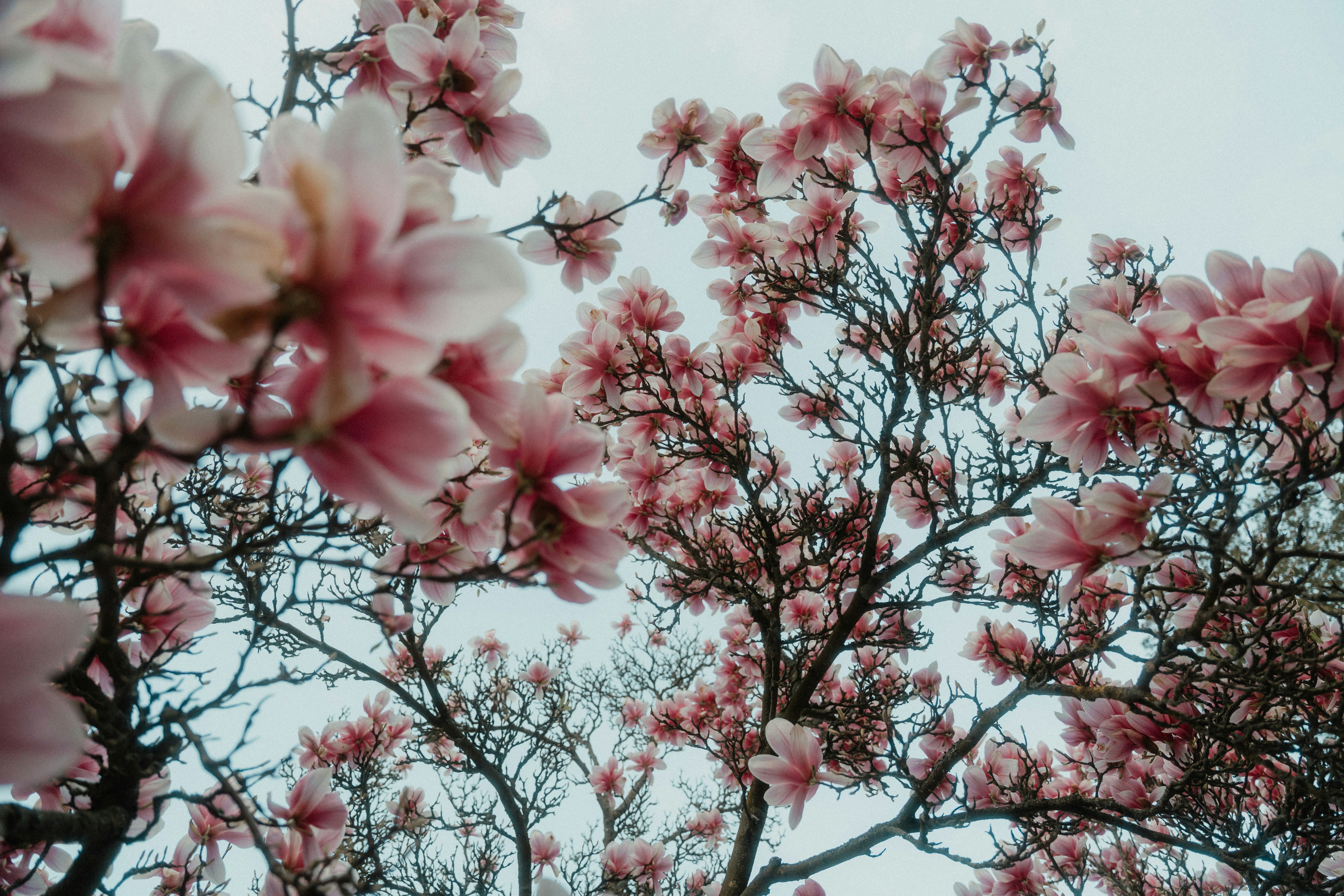 Photo by luiseandnic