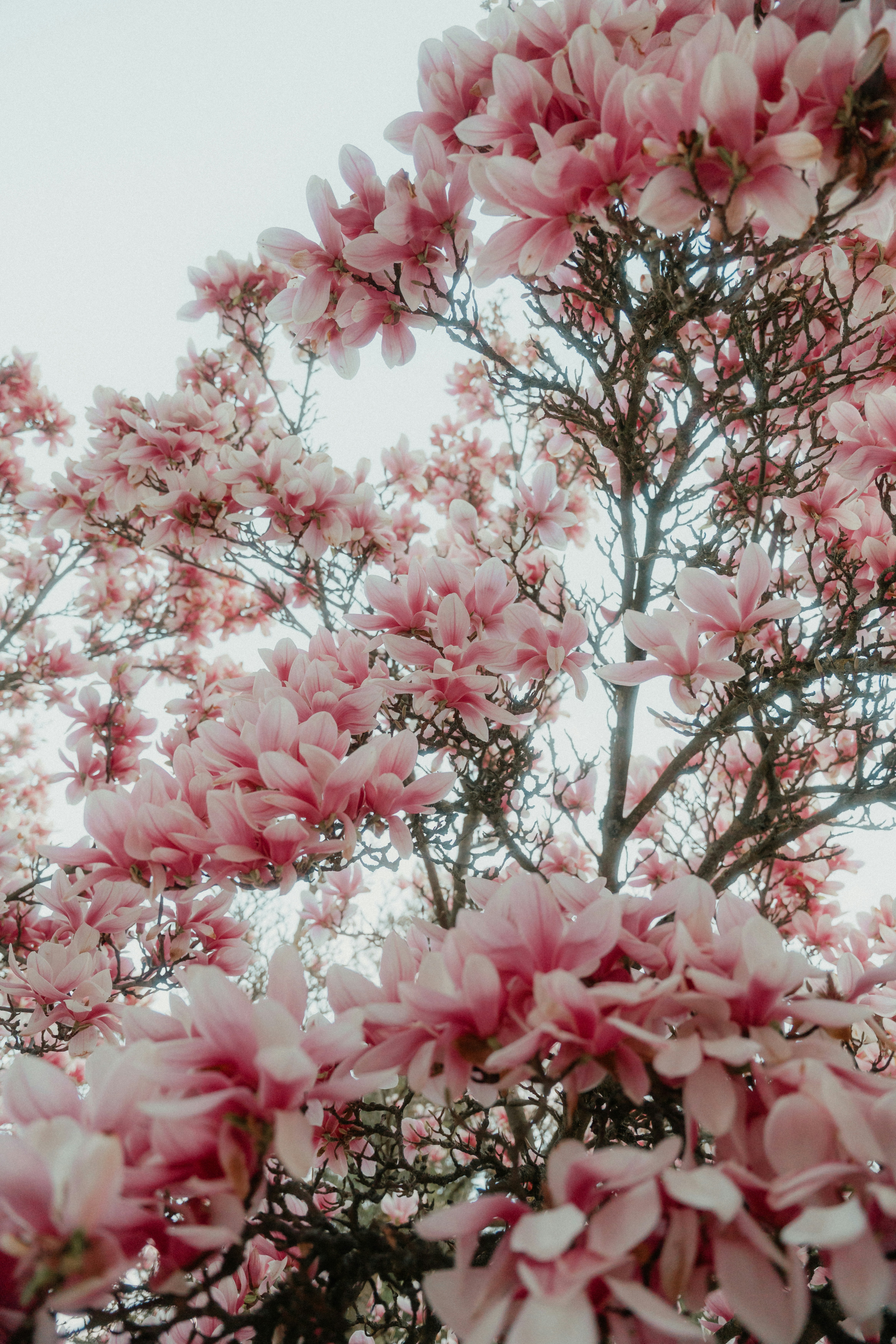 Photo by luiseandnic