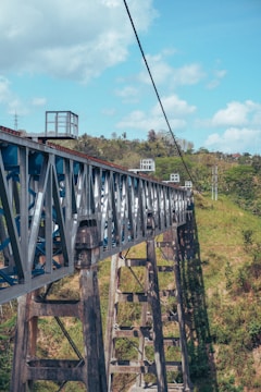 A high bridge spans across a lush landscape.