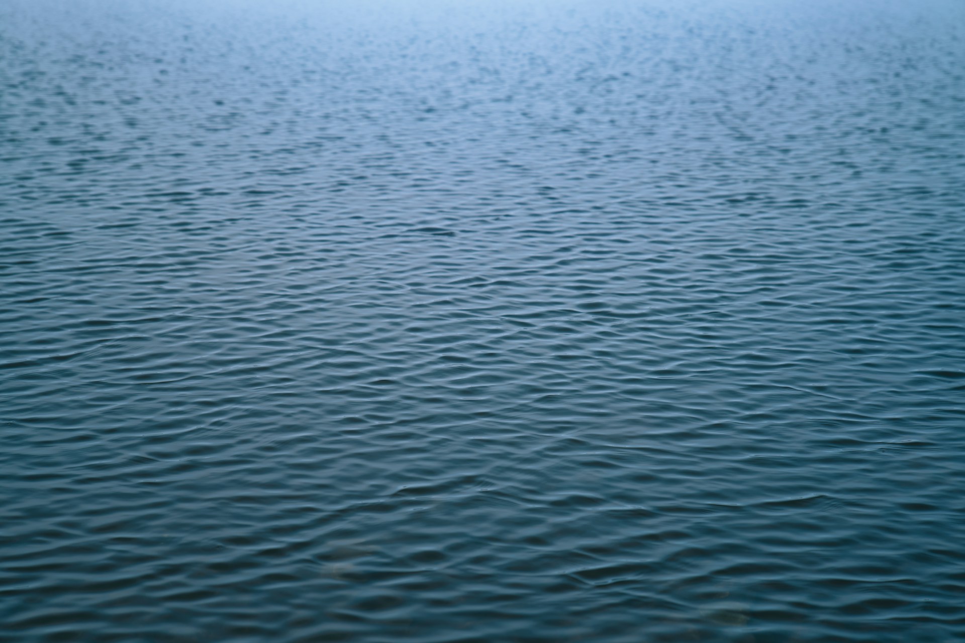 Calm, blue water with gentle waves.