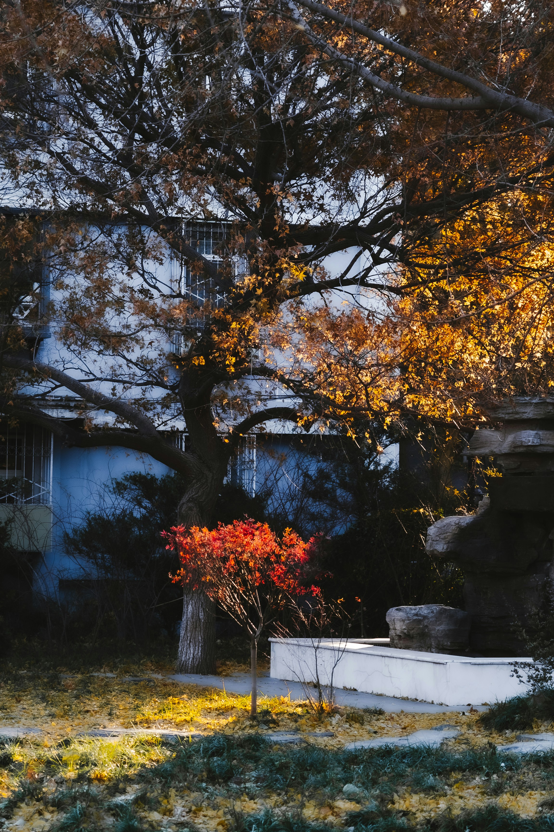 Autumn trees and a building are in view.