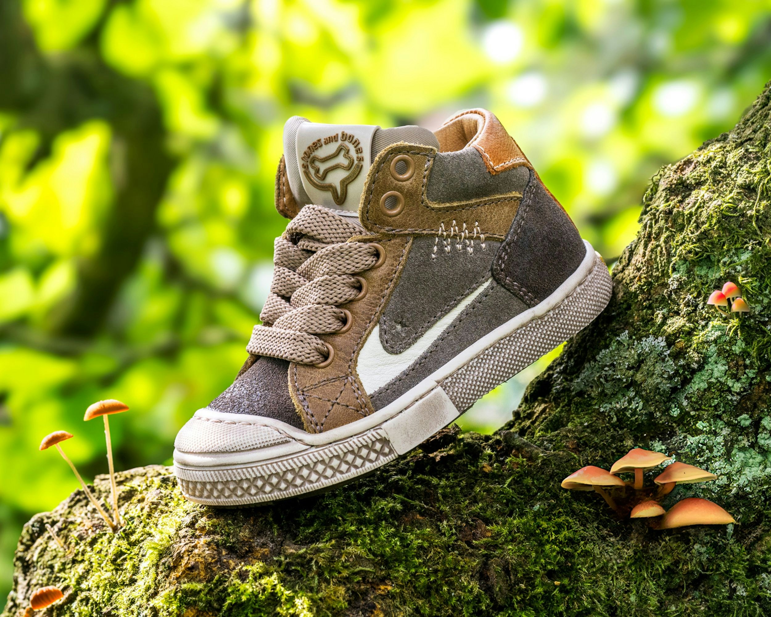 A kid's sneaker rests on a tree branch.