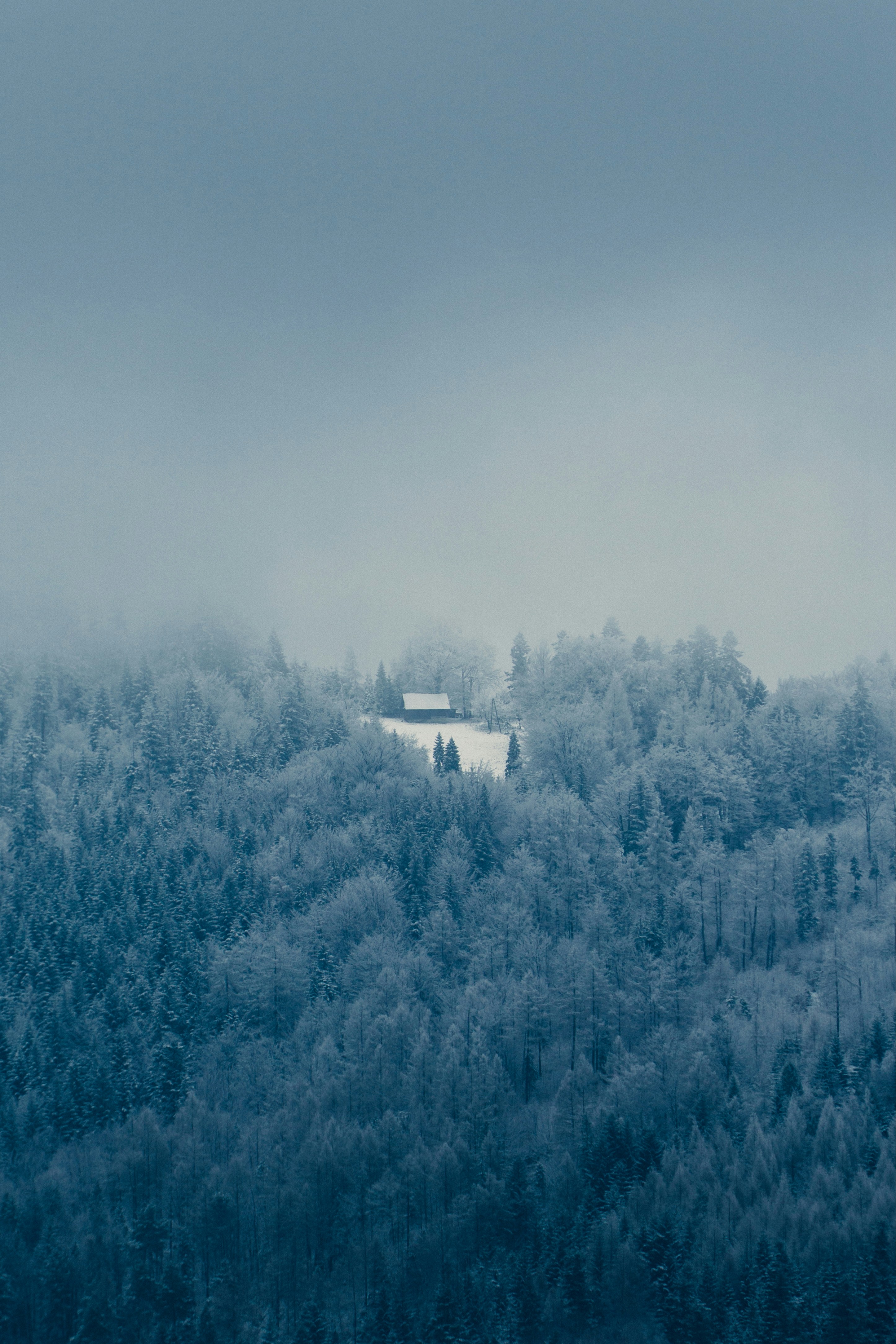 Daily Productive Sharing 1262 - Don't Chase Goals, But Limits