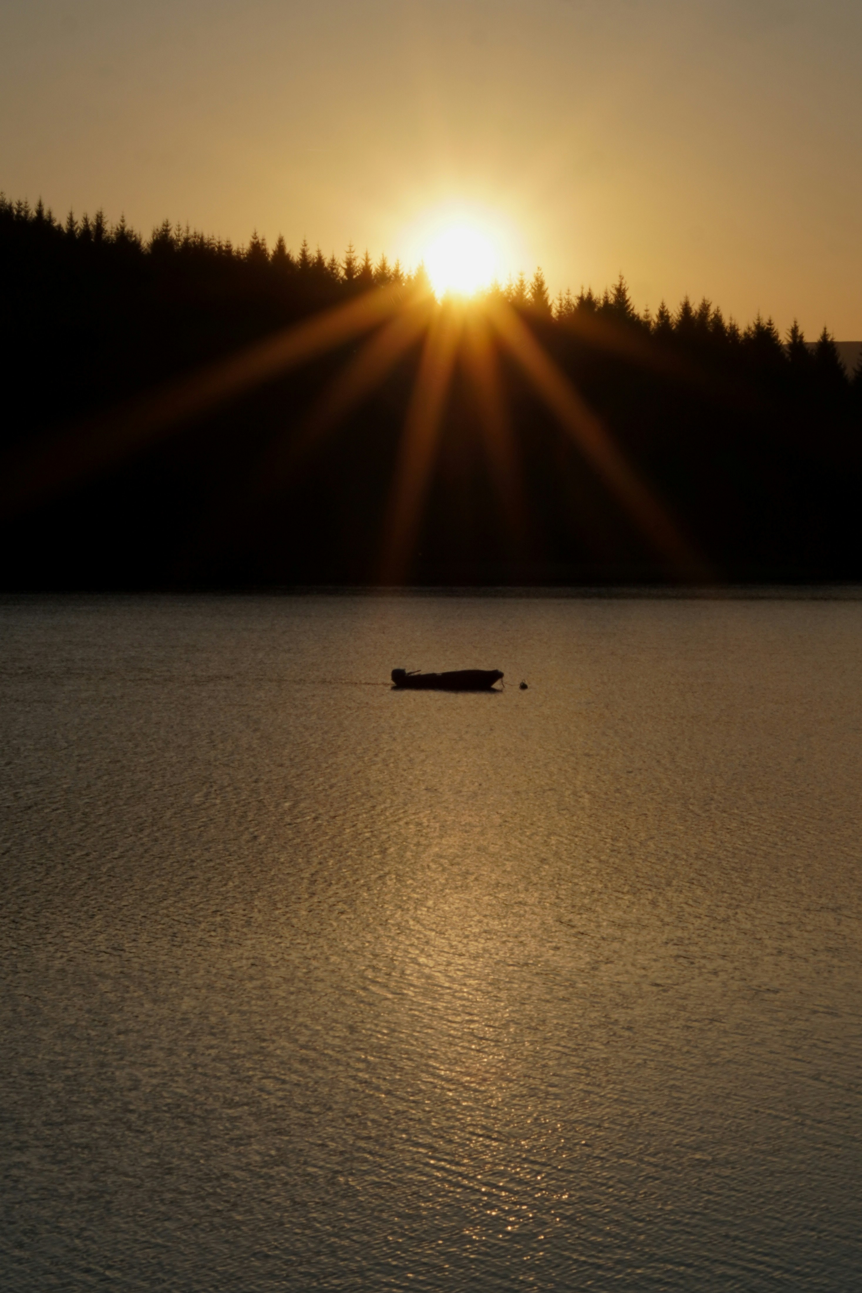 Photo by asimalghamdi