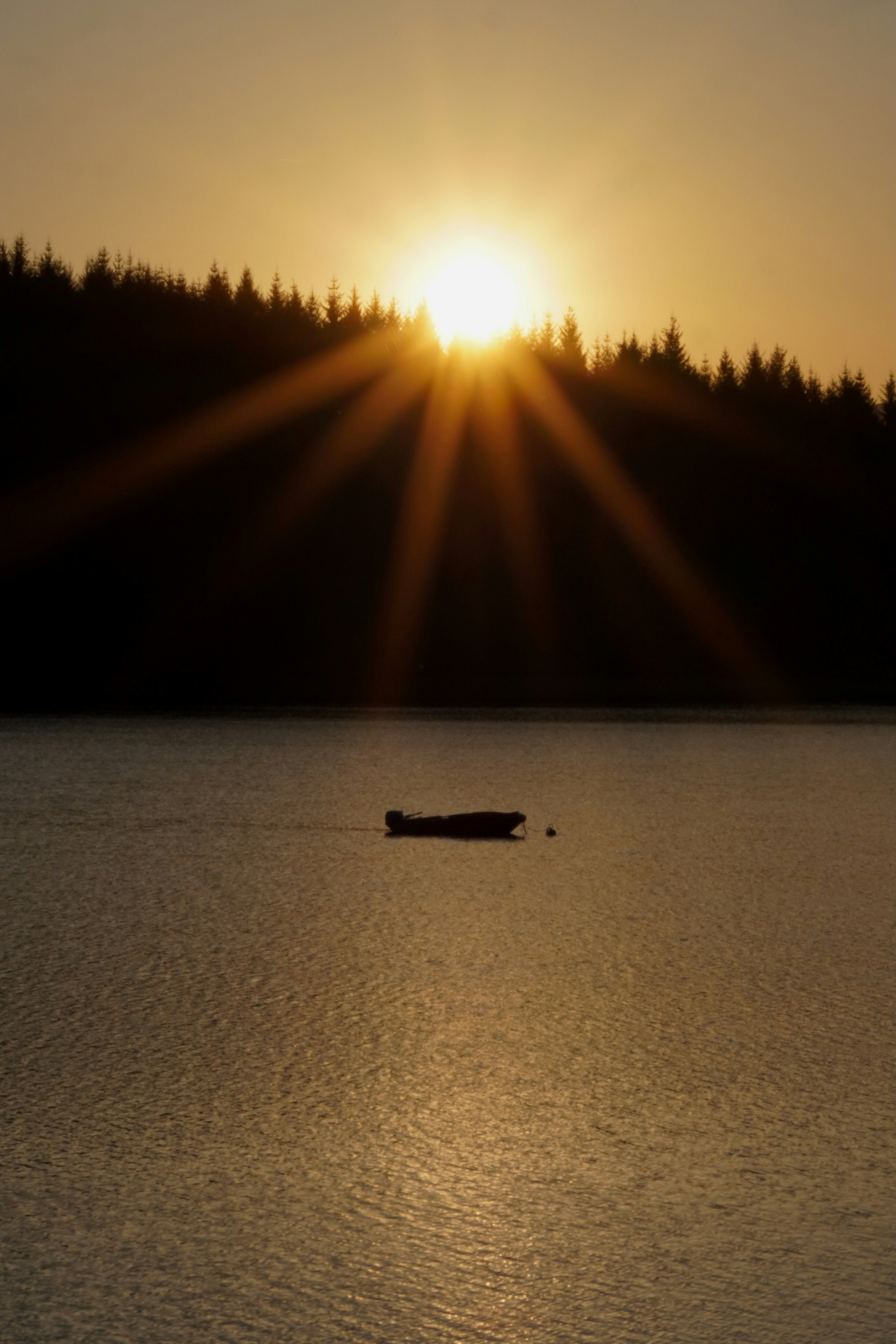 Photo by asimalghamdi