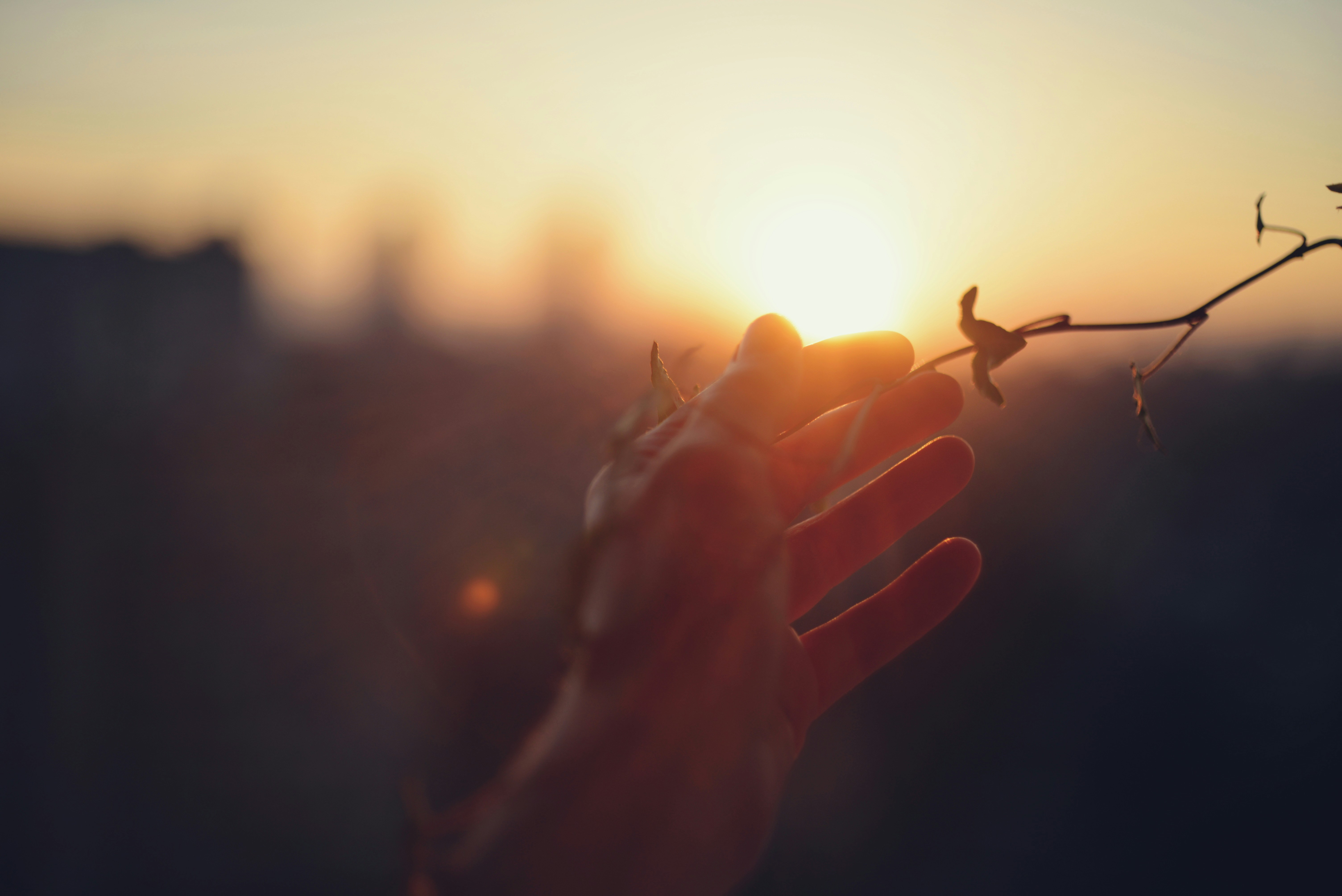 Photo by cherstve_pechivo