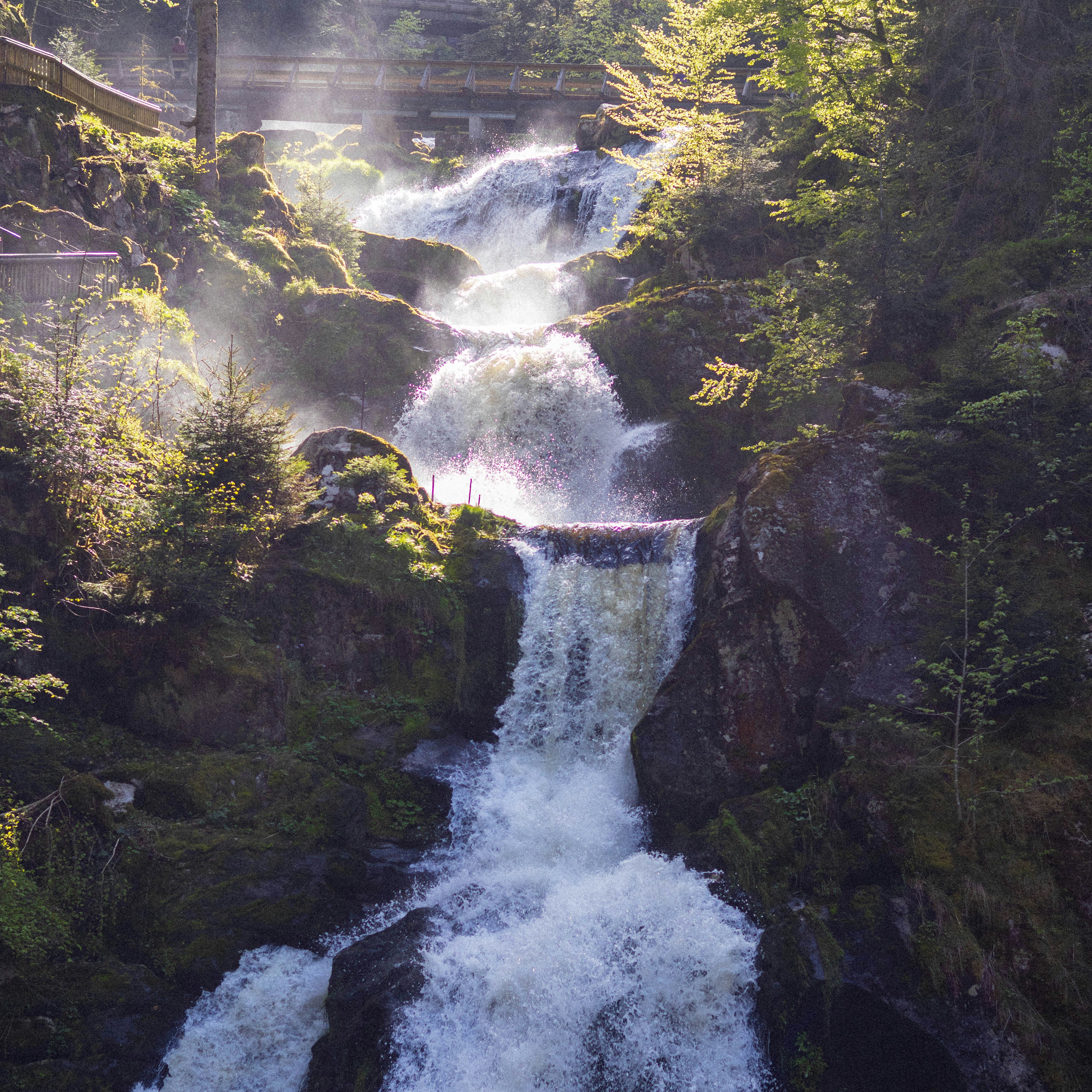 Photo by amanpreet_2709