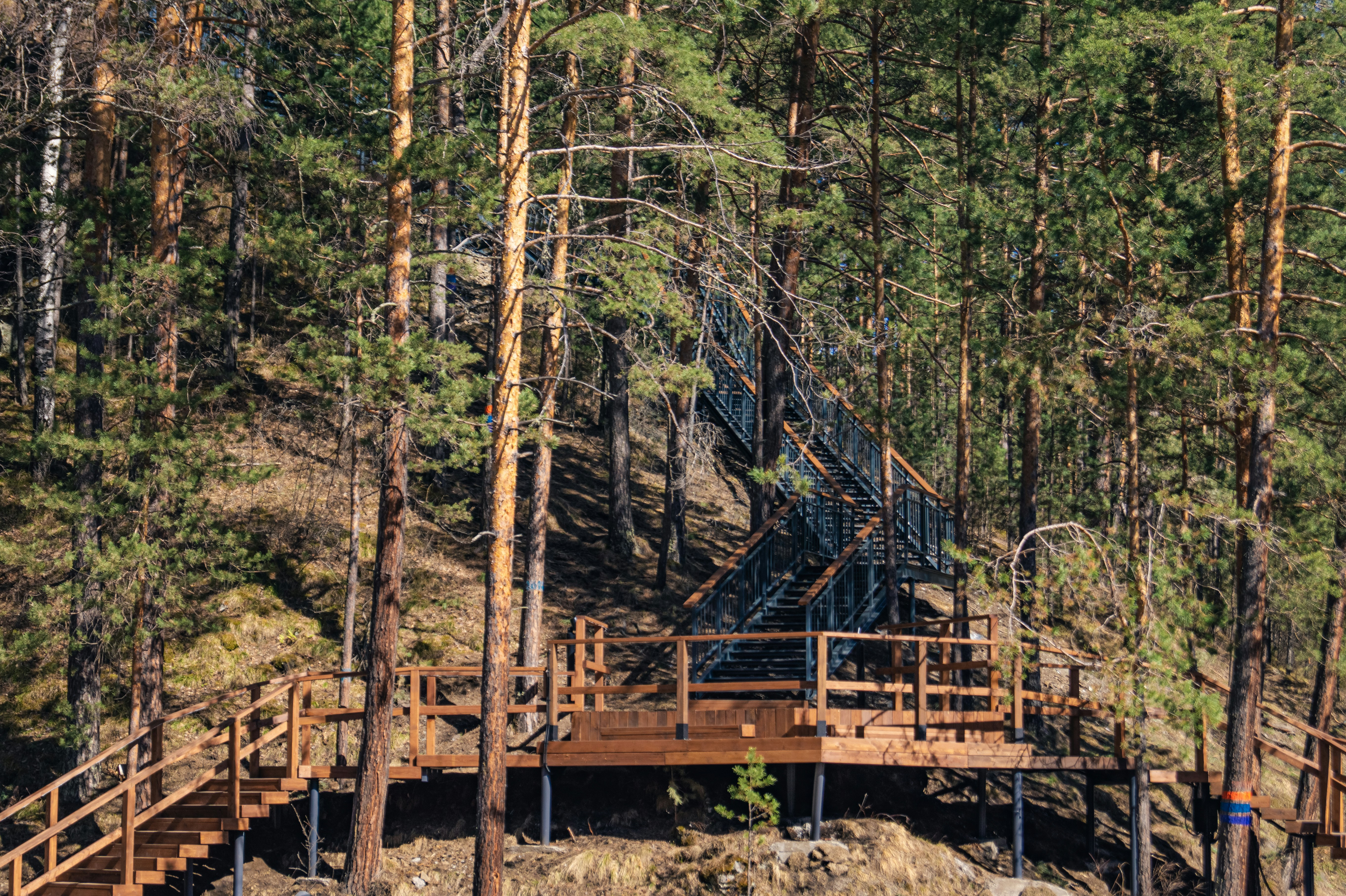 Indrānu dendroloģiskais parks