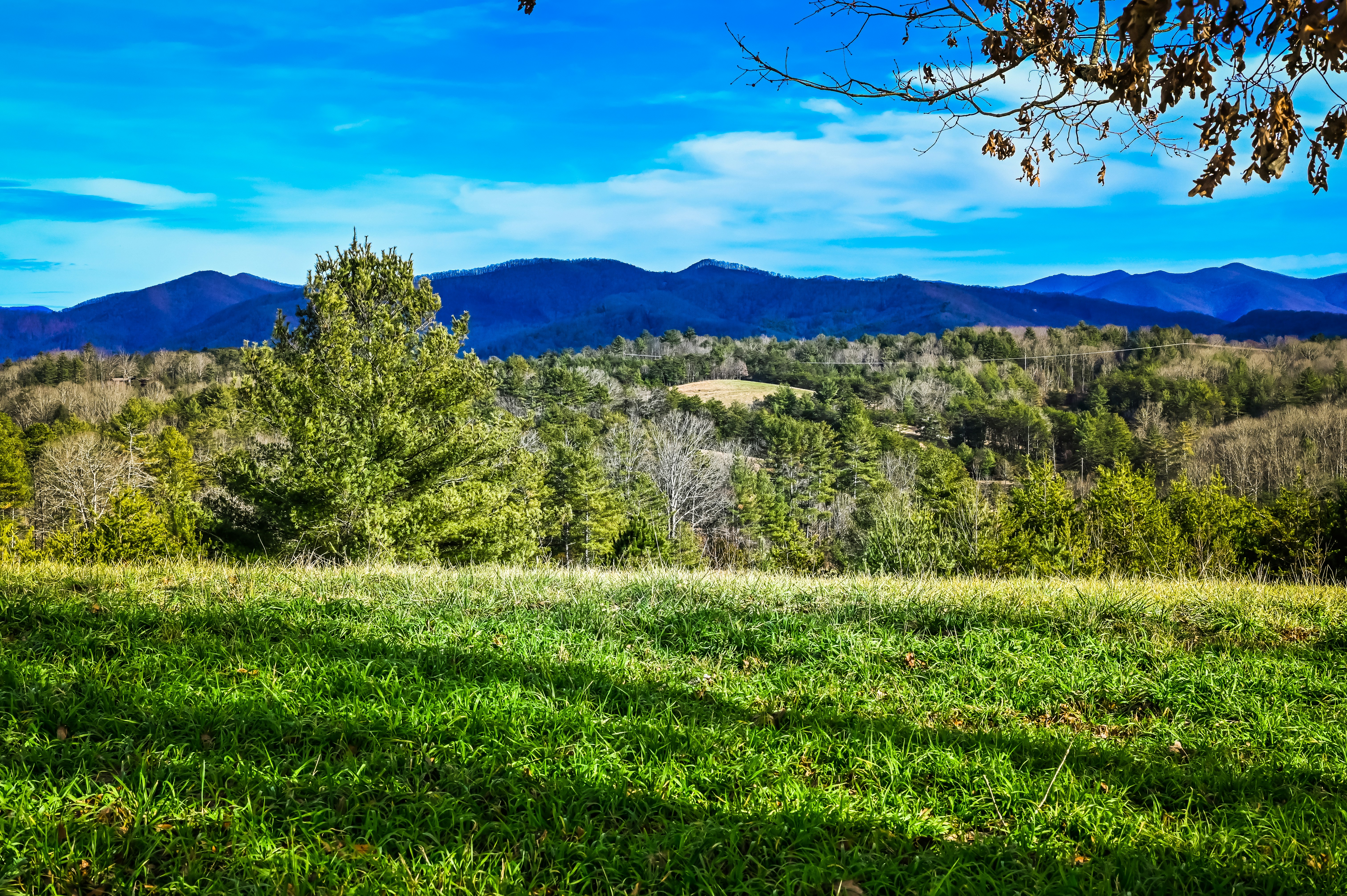 Montagne e campi verdi sotto un cielo blu.