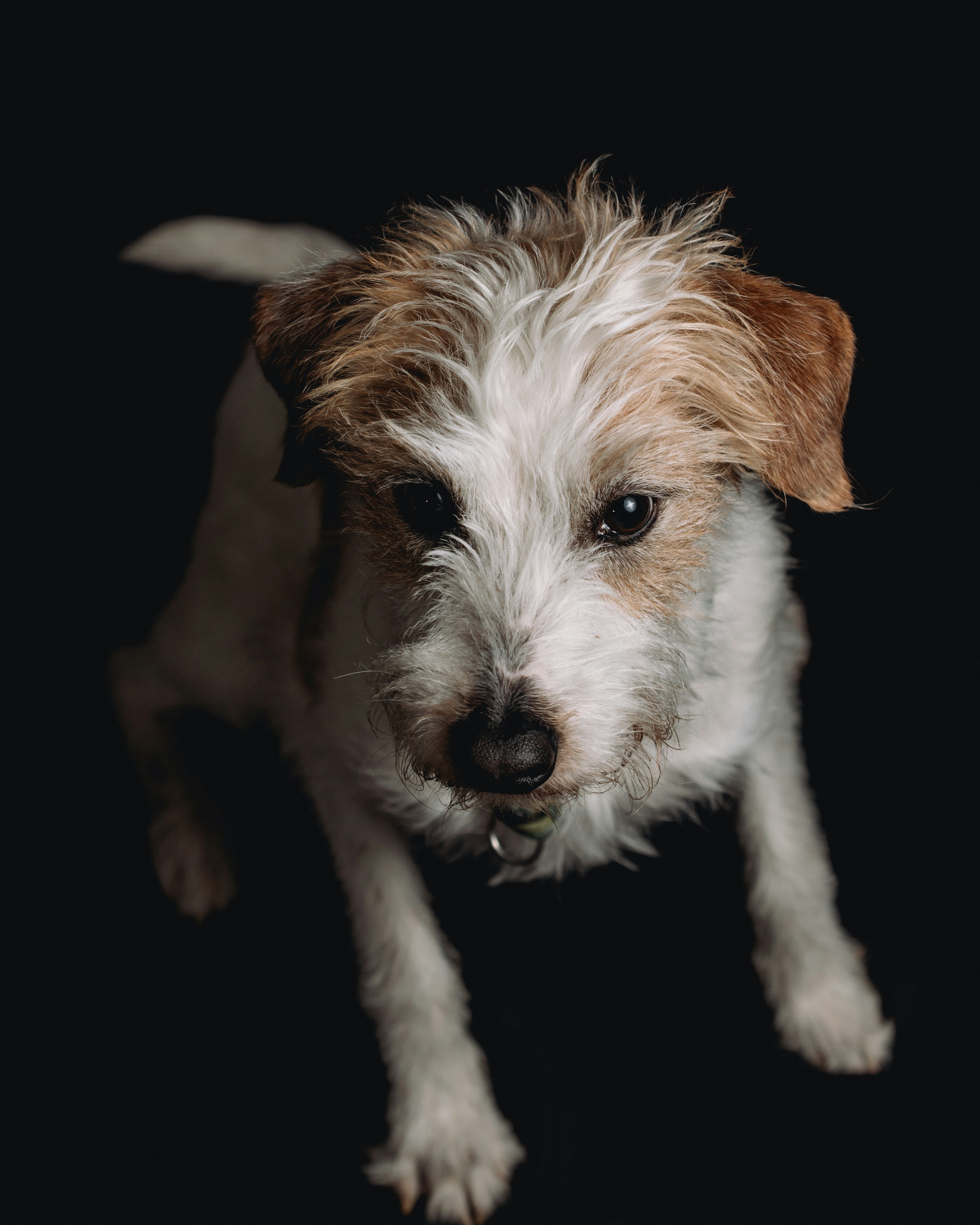 Photo by shutter_speed_