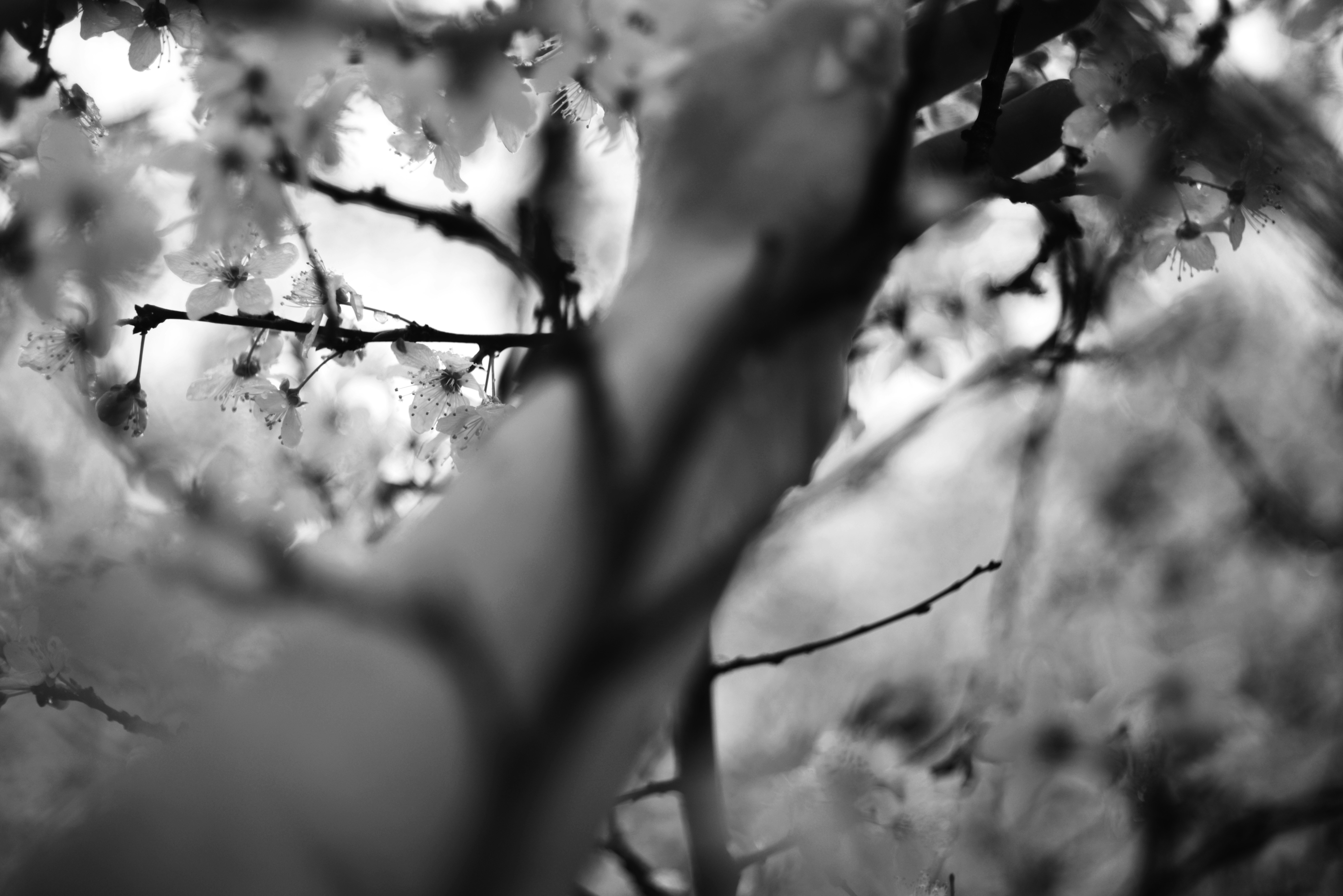 Photo by cherstve_pechivo