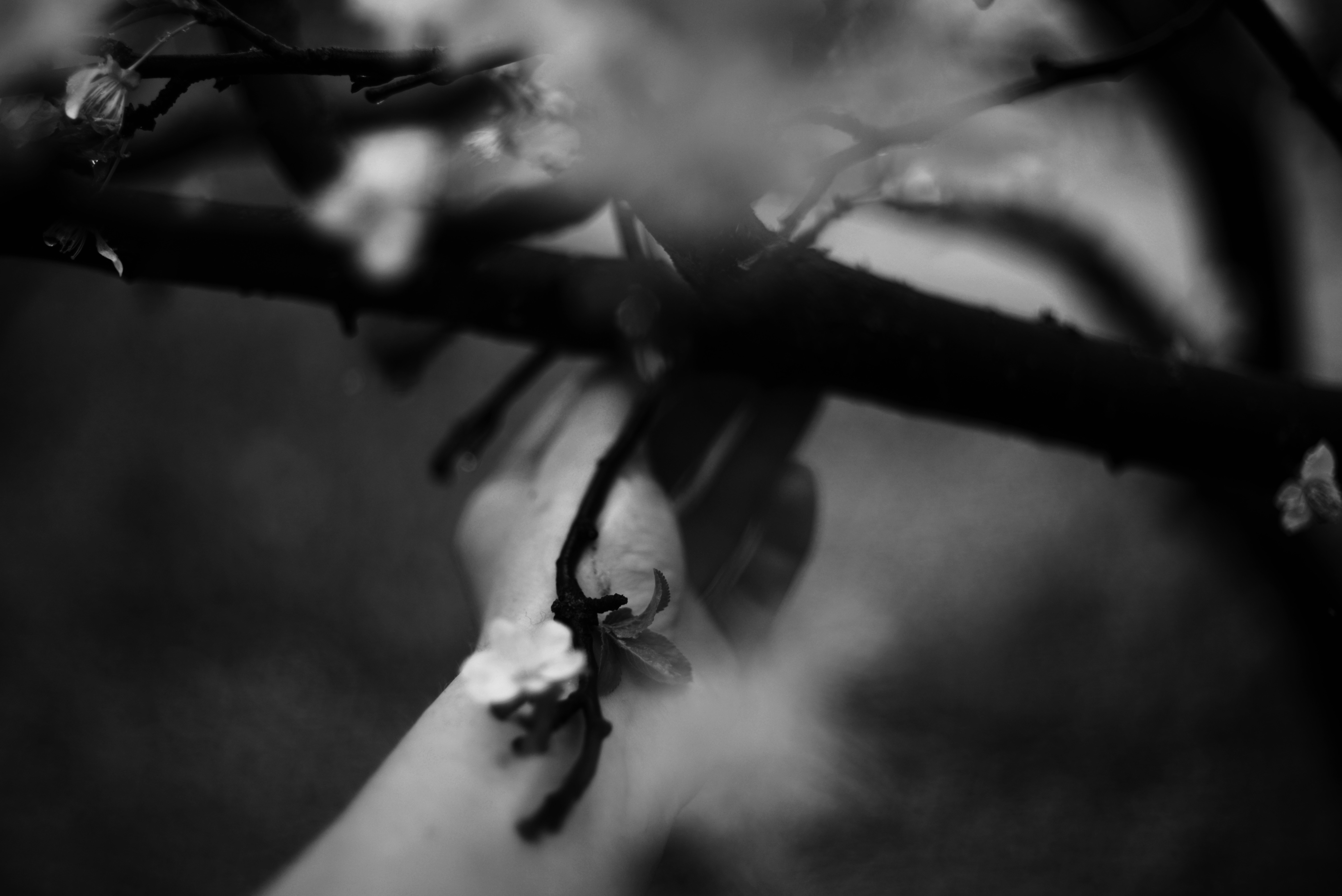 Photo by cherstve_pechivo