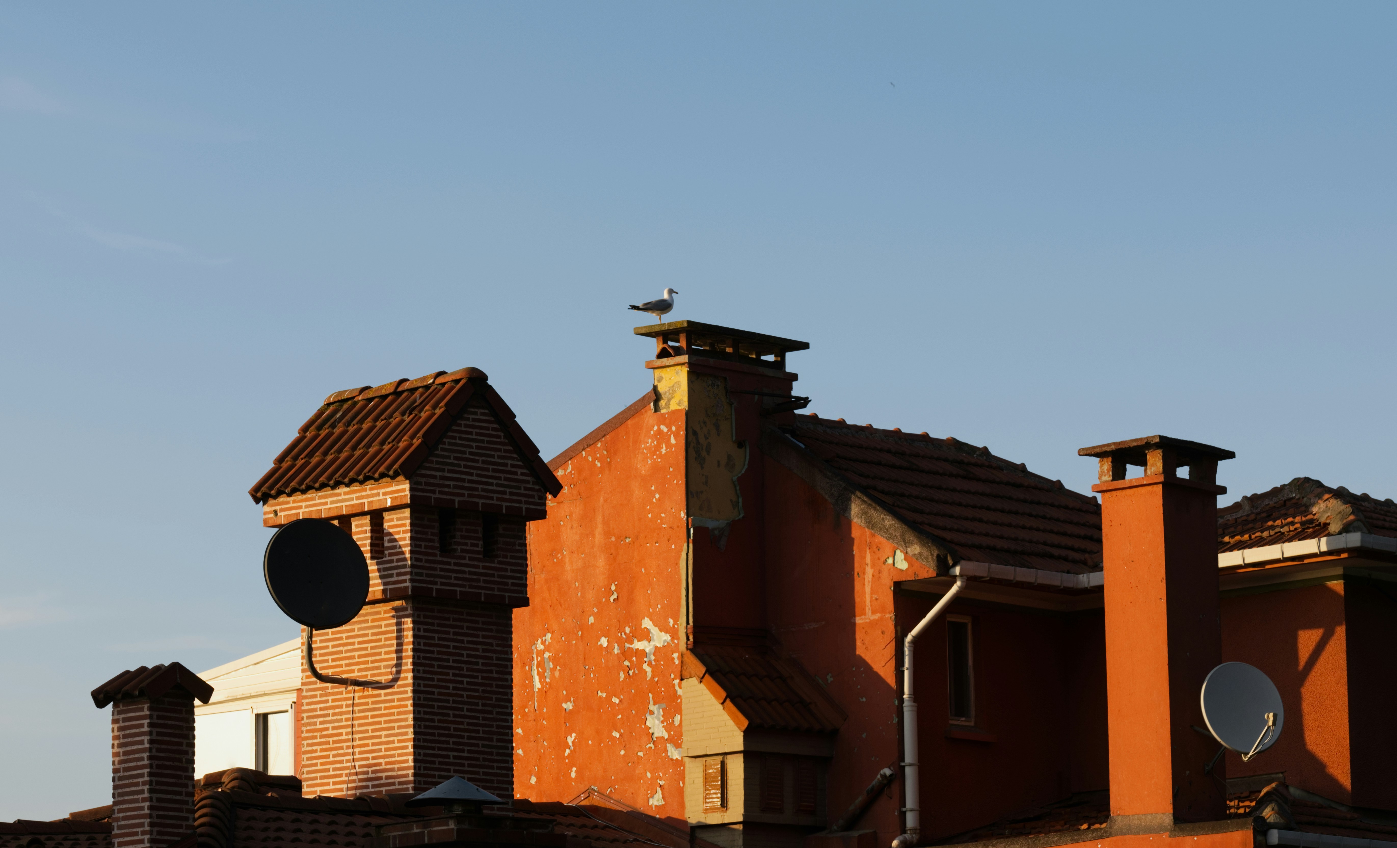 Rooftops and chimneys against a blue sky.