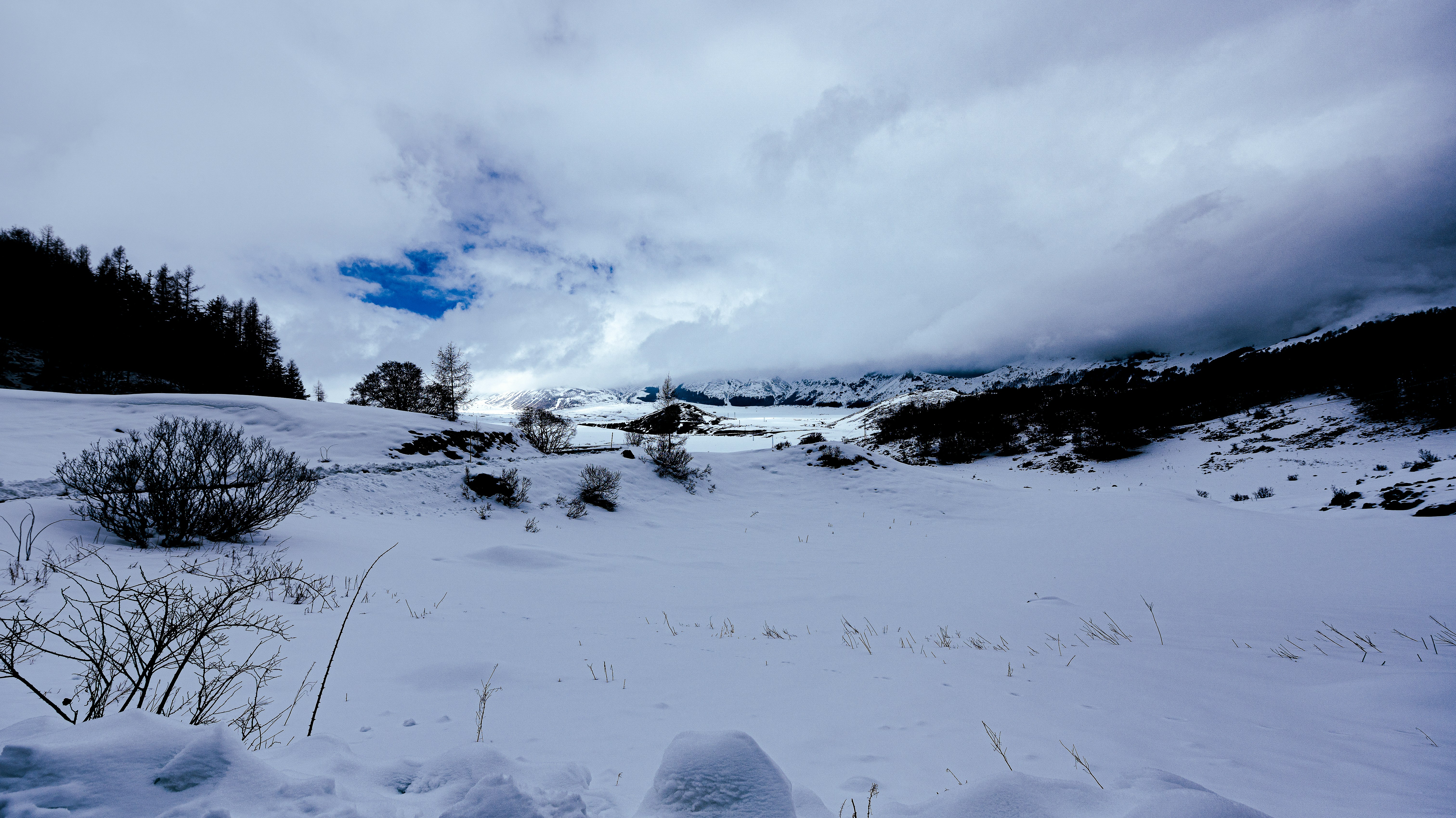 Photo by lucaakalu