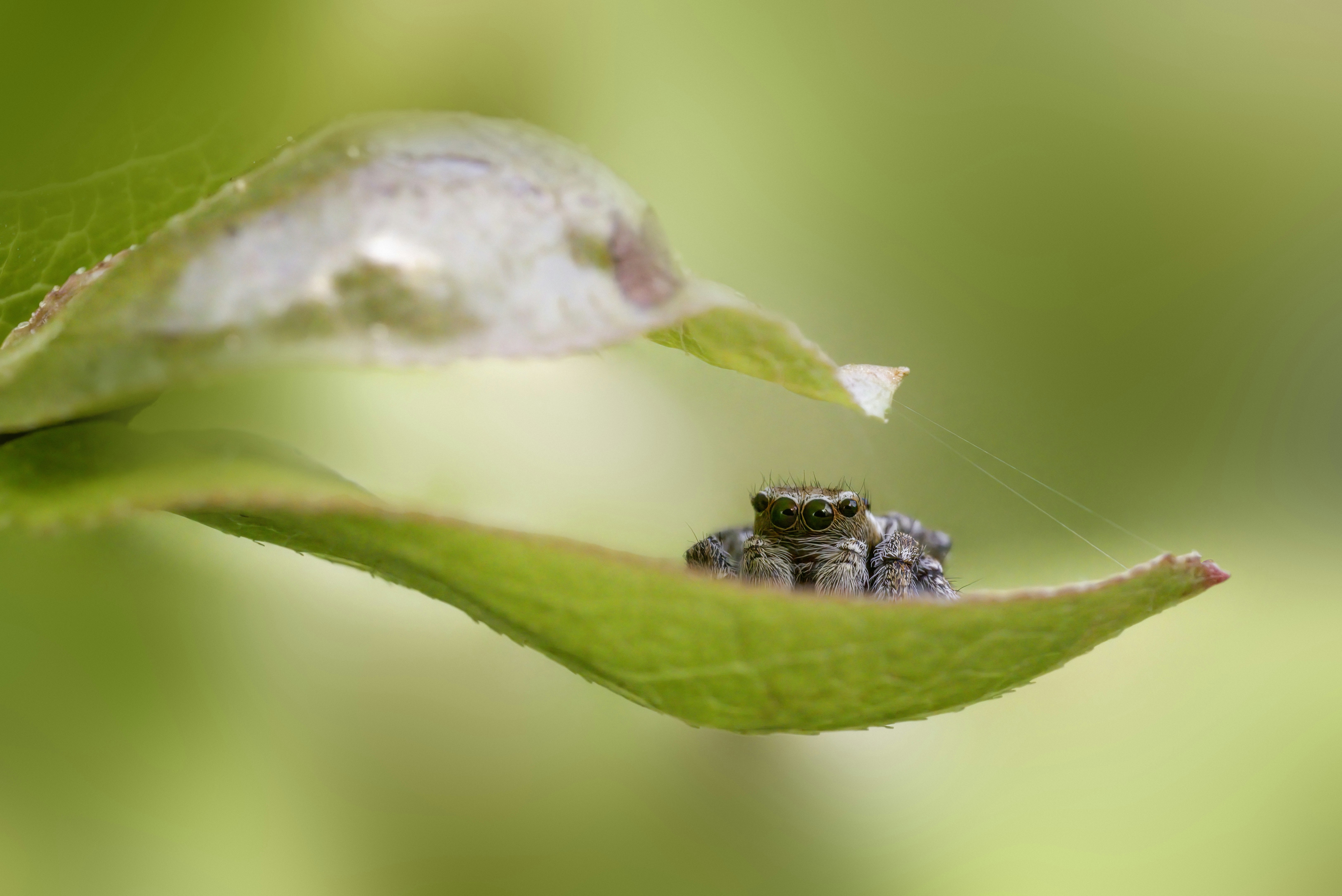 Photo by erik_karits