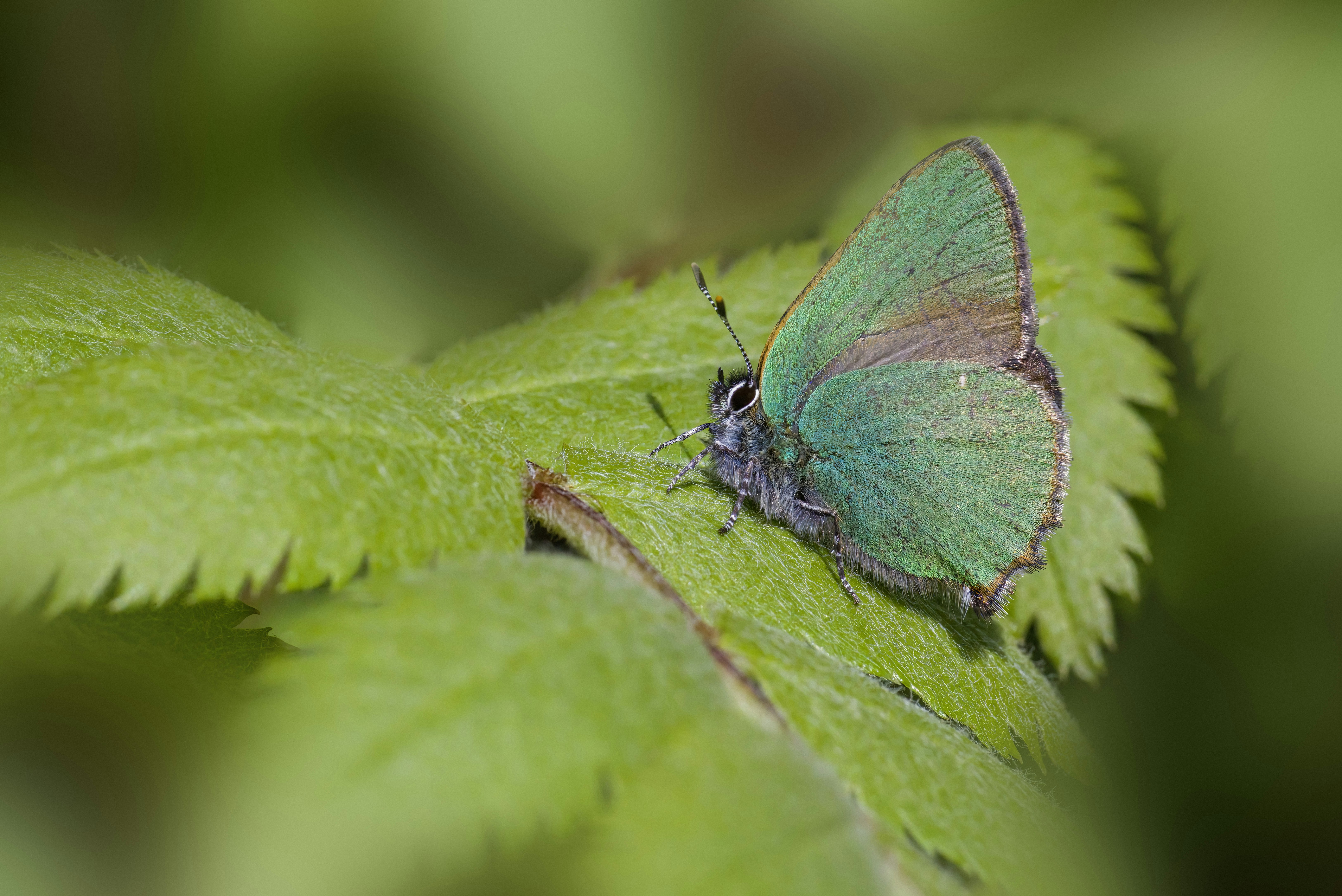 Photo by erik_karits