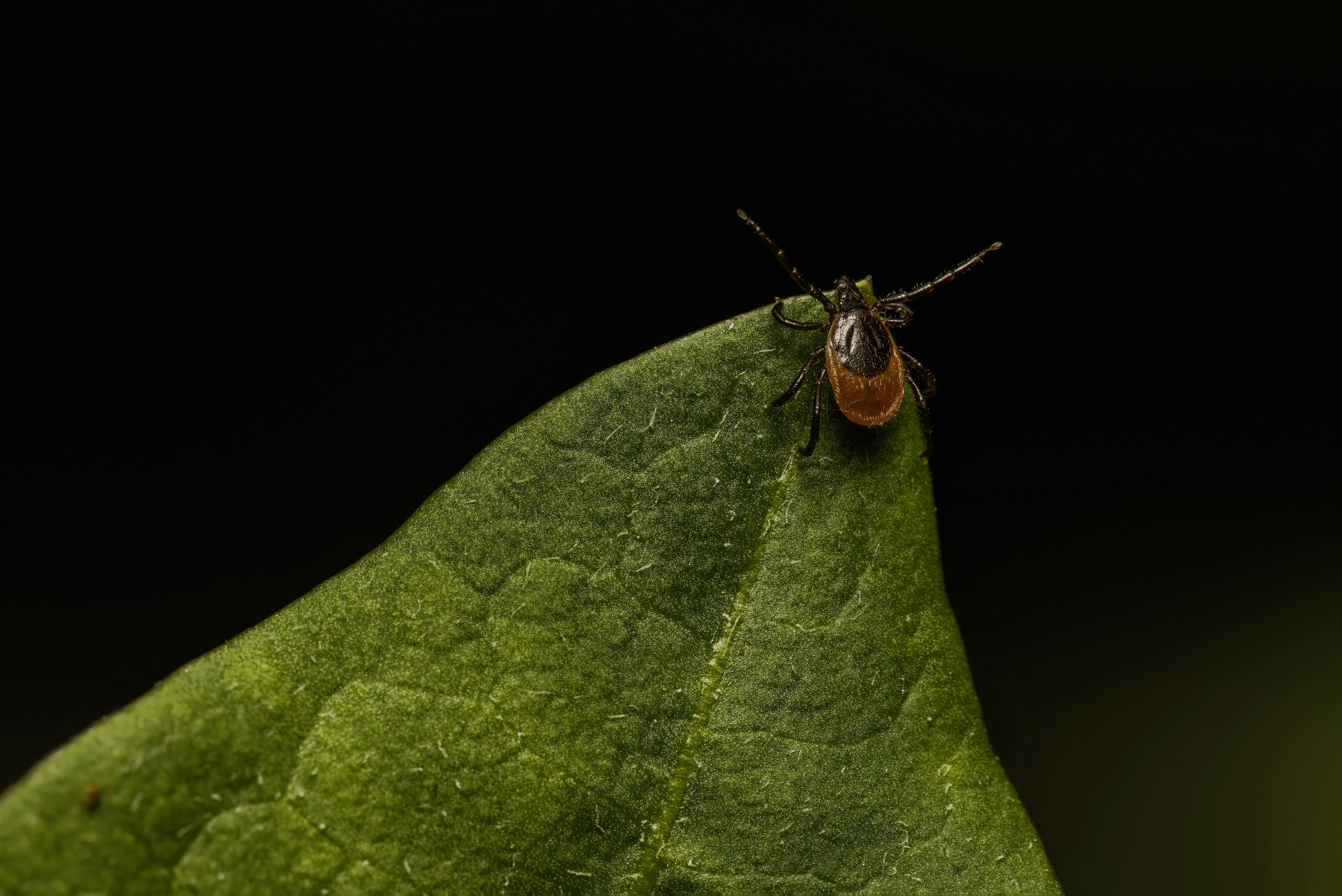 Photo by erik_karits