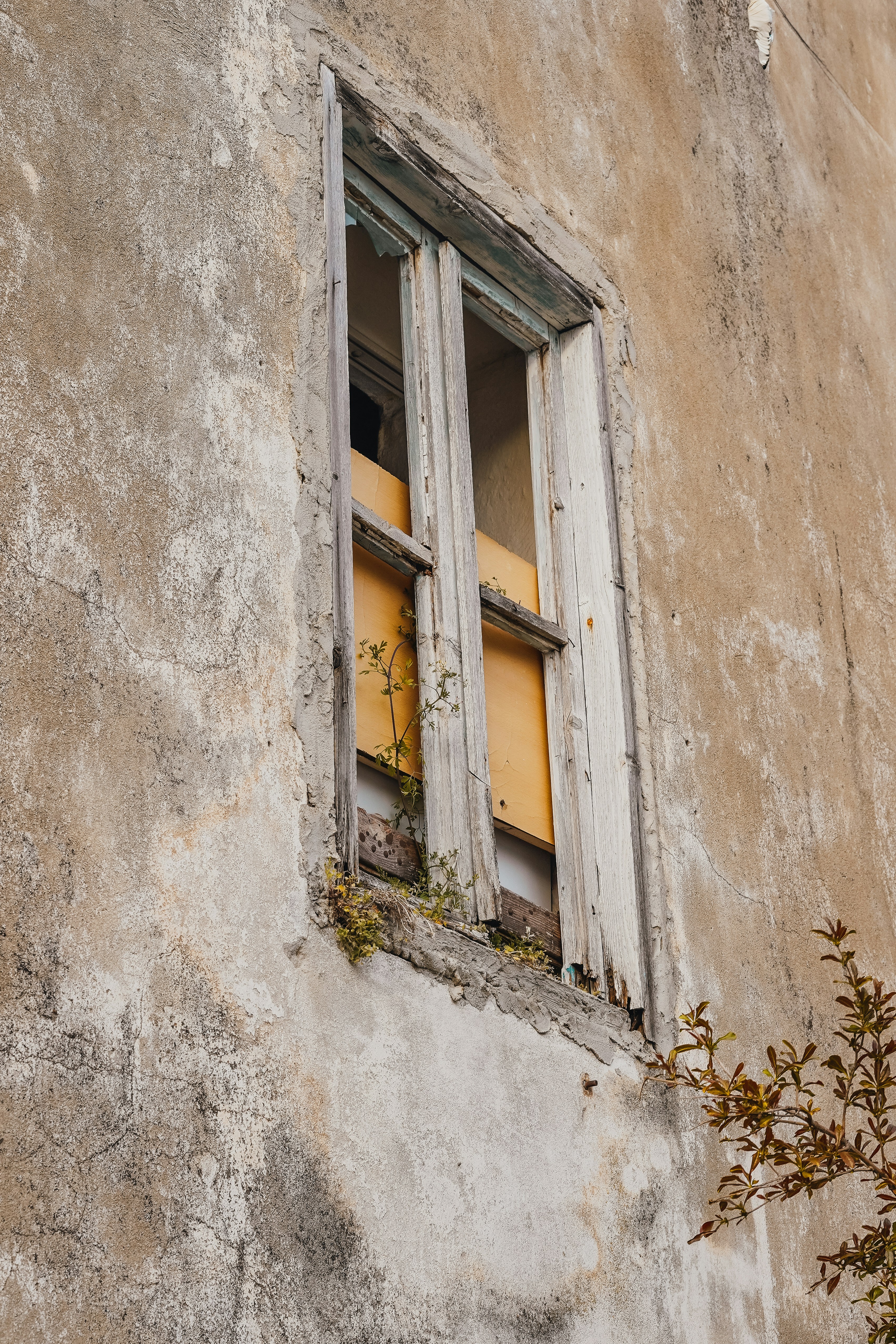 Photo by helloaesthe