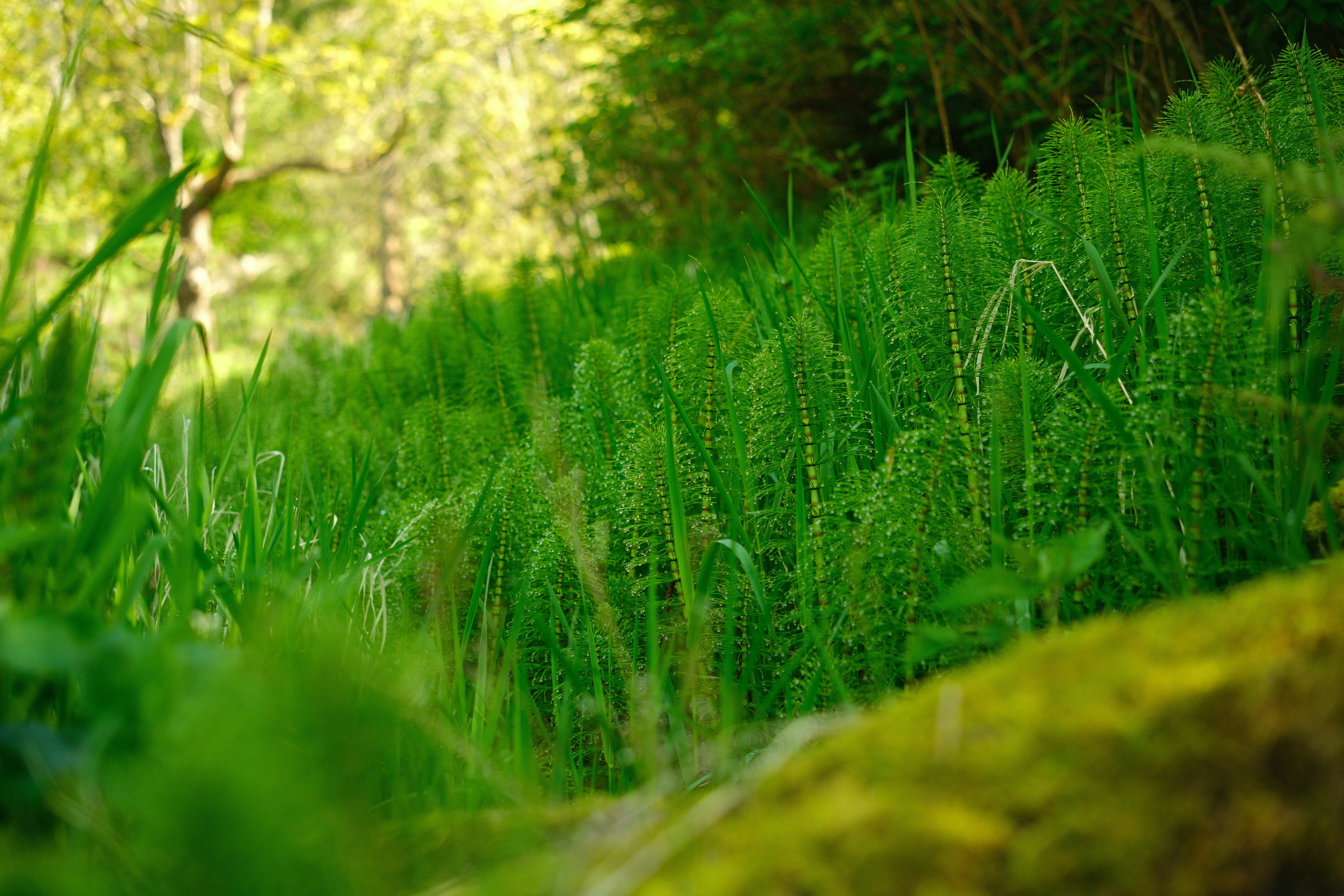 Photo by thejacobstone