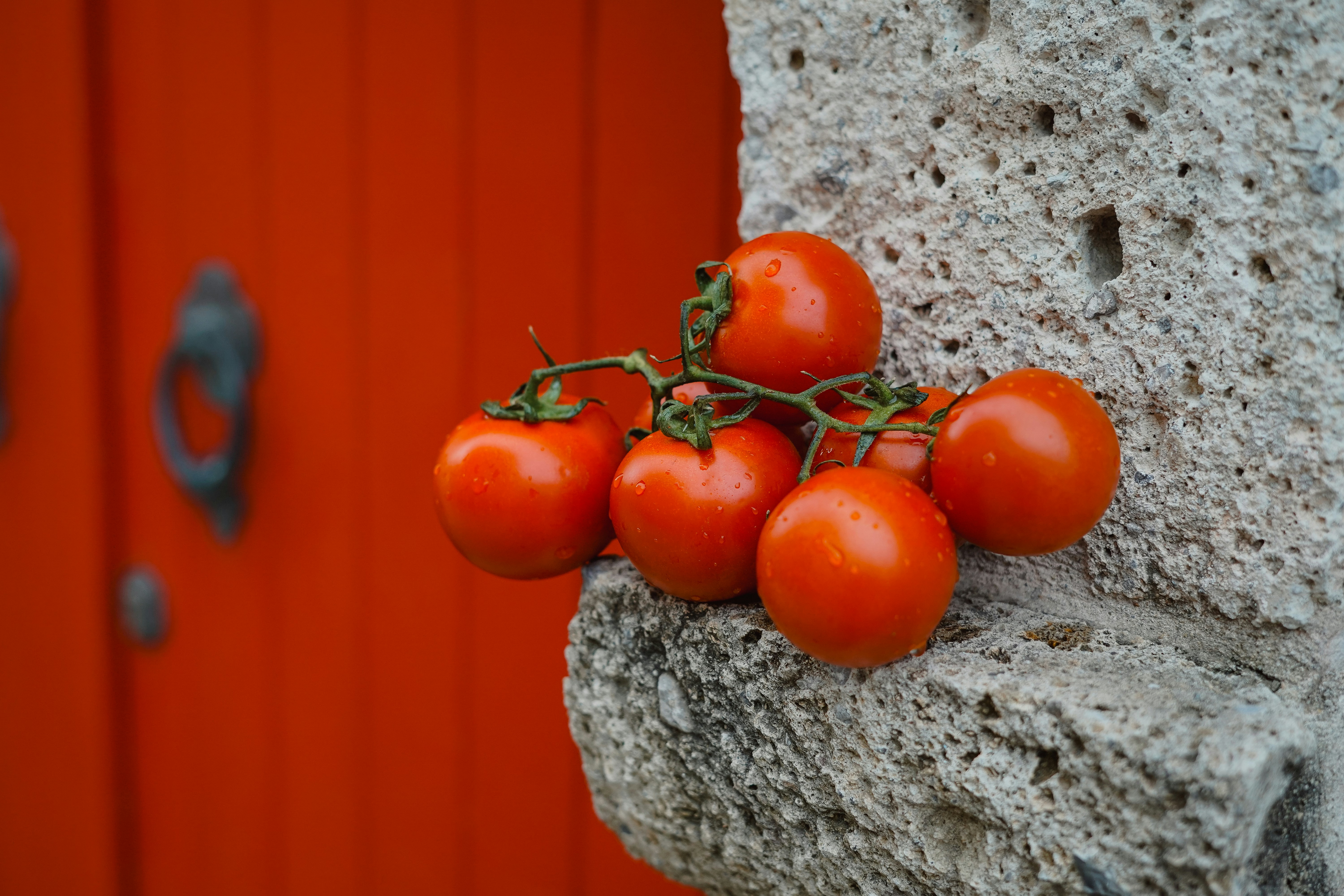 Campo de' Fiori fresh tomatoes closeup